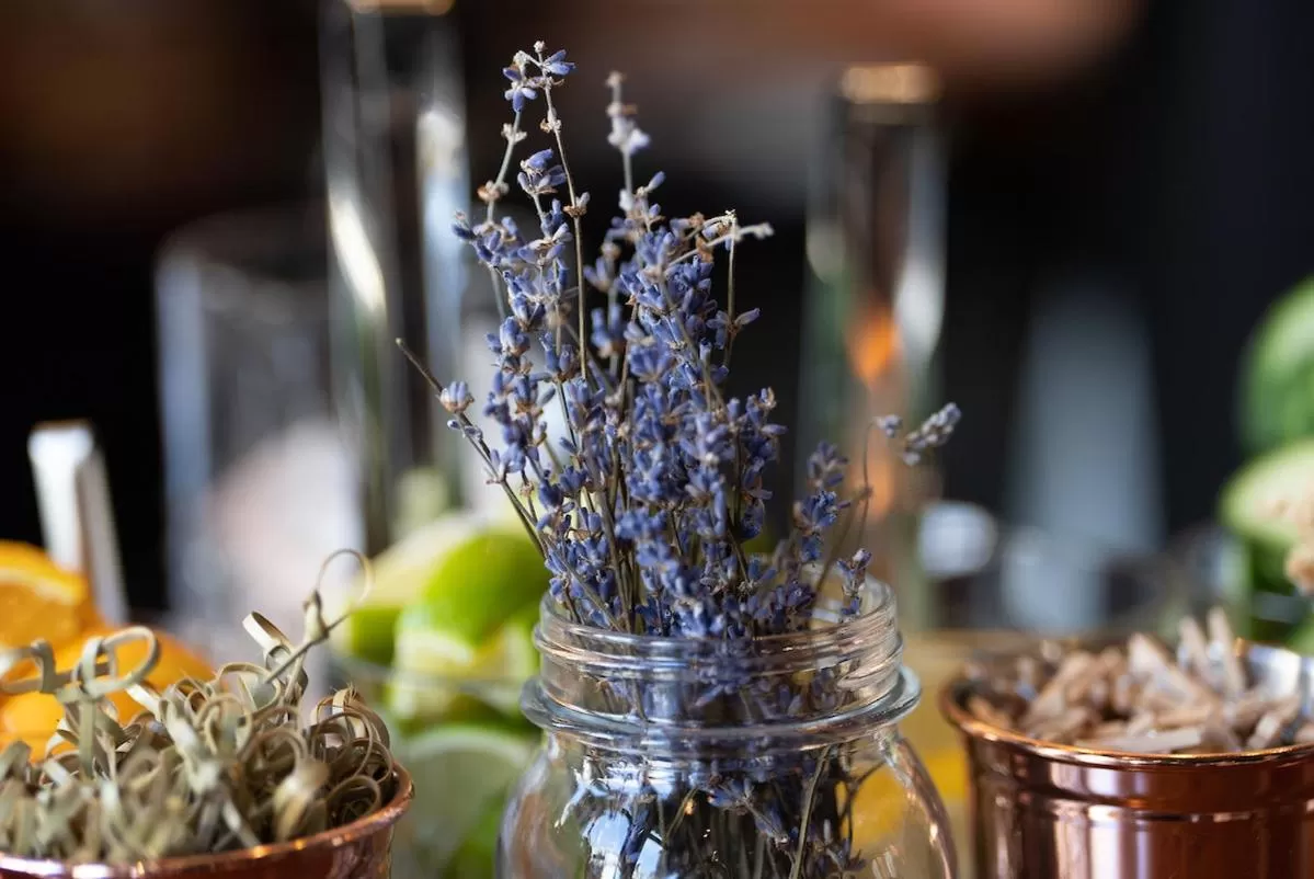 Food and drinks in Milsom Hotel Bath