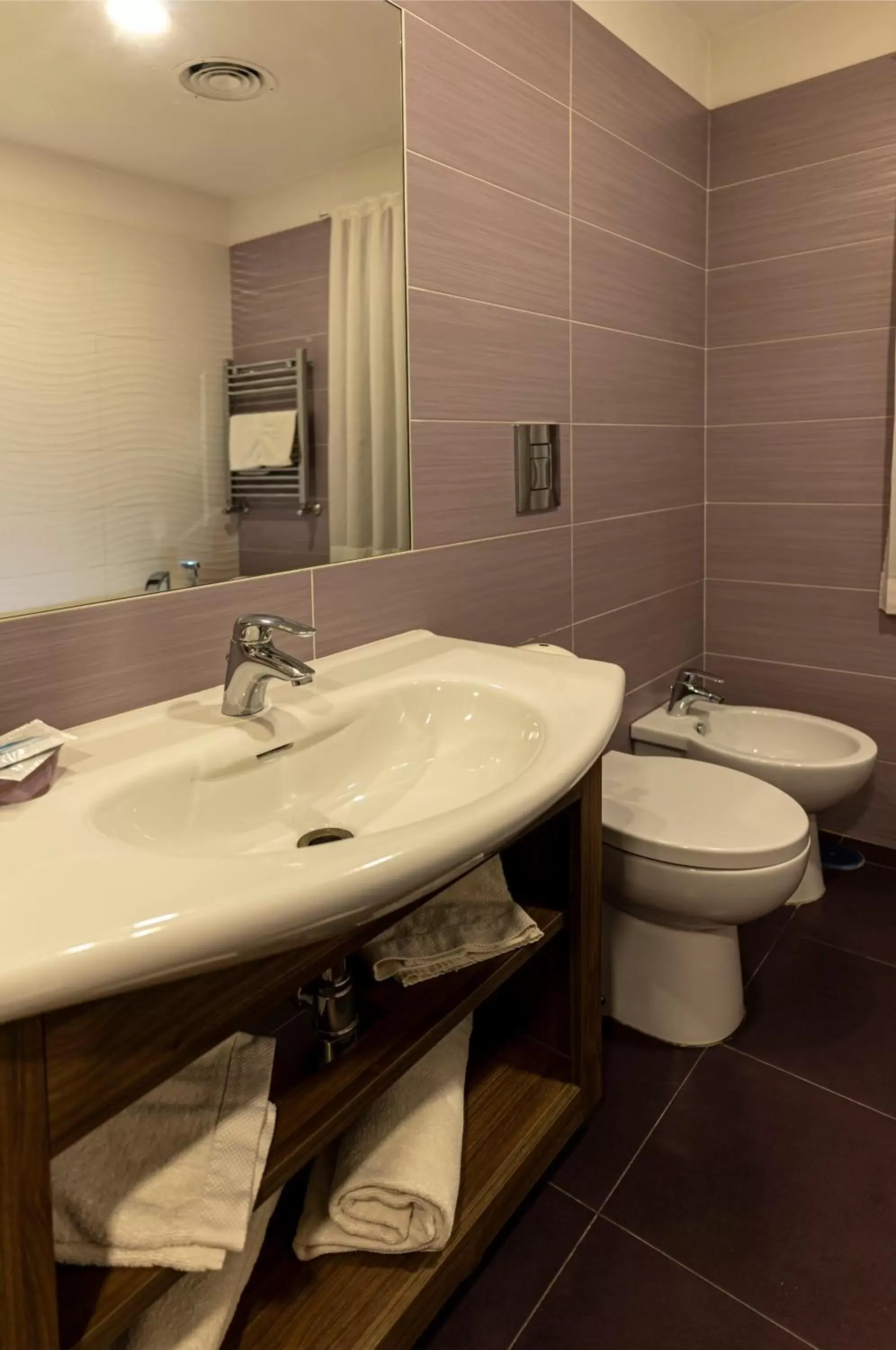 bidet, Bathroom in Hotel Smeraldo