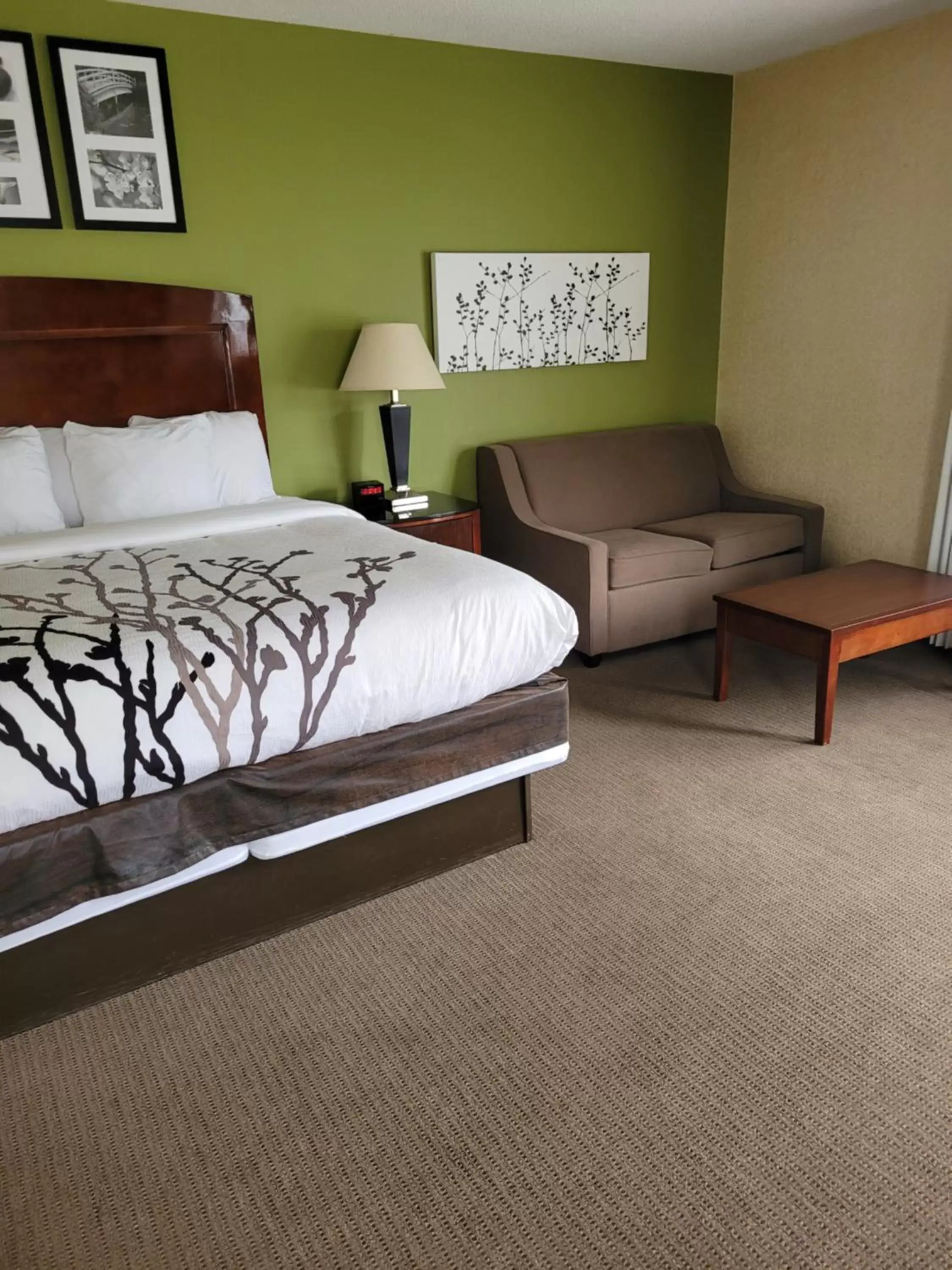 Photo of the whole room, Bed in Sleep Inn & Suites near Joint Base Andrews-Washington Area