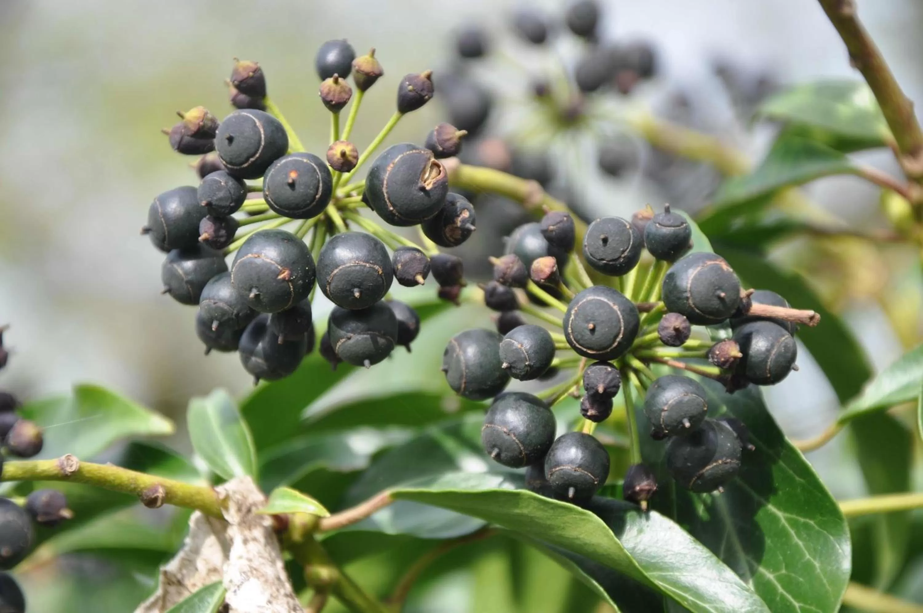 Other in Bed and Breakfast Bavaria München