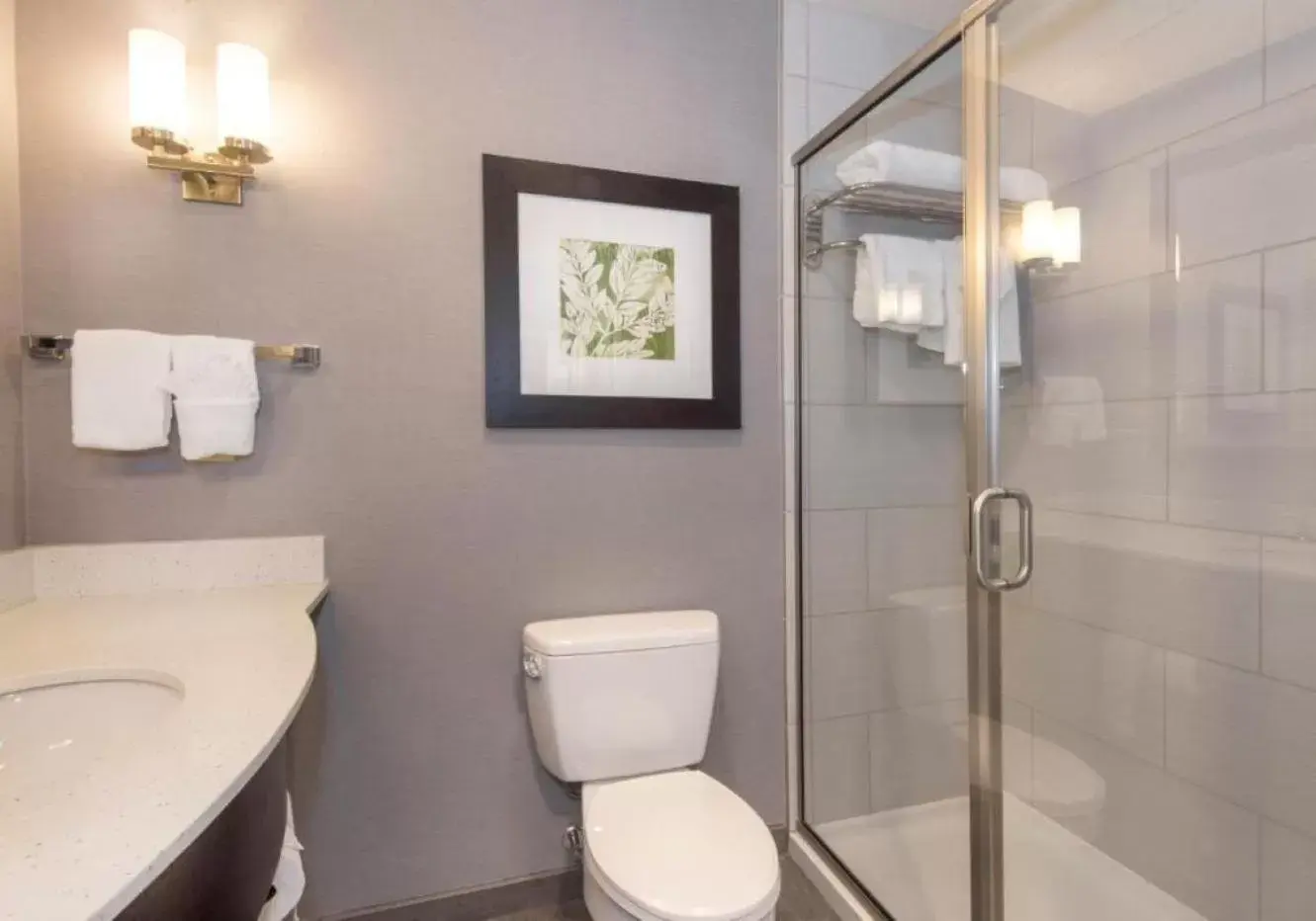 Shower, Bathroom in Hilton Garden Inn Raleigh Cary