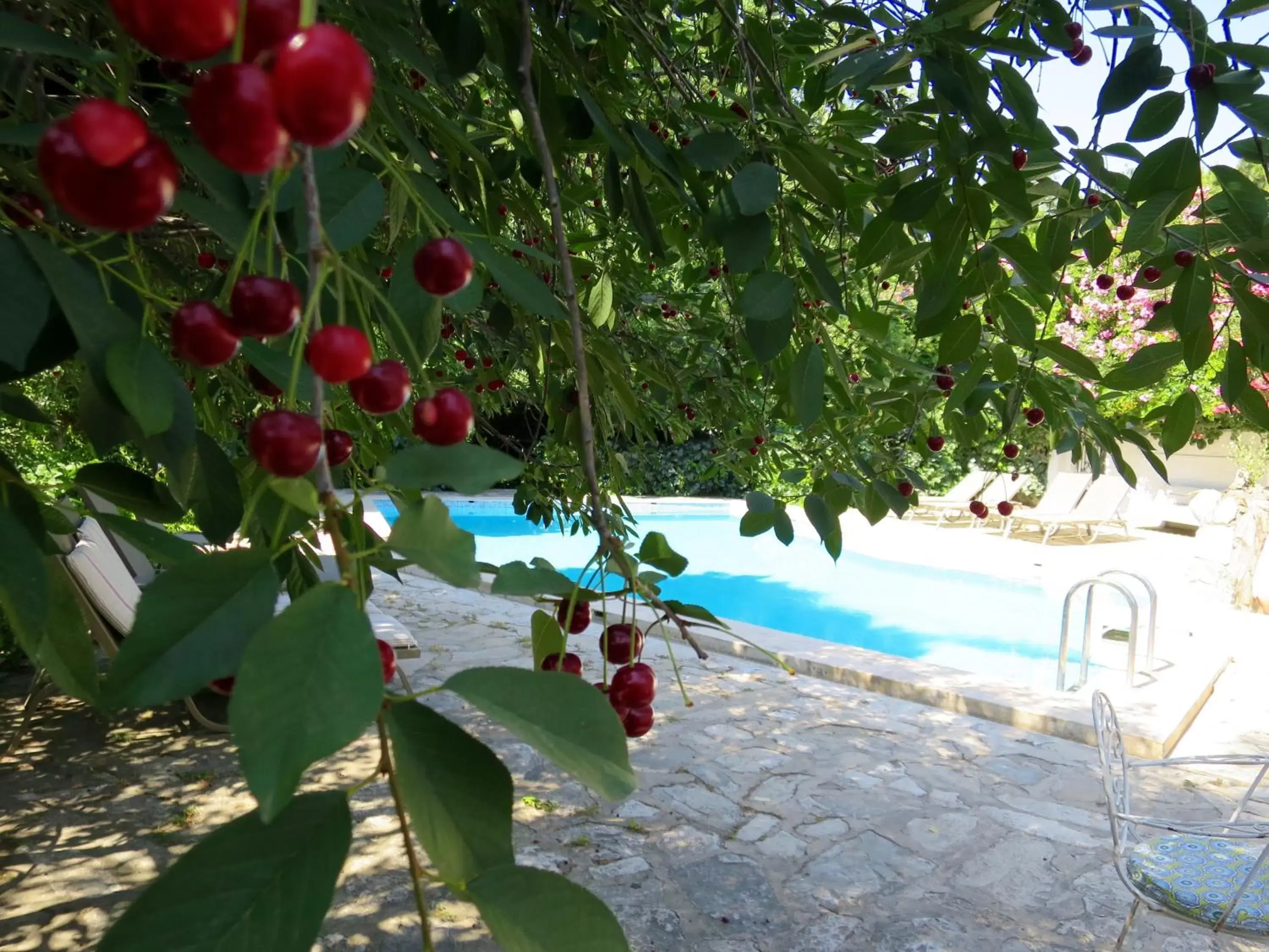 Swimming pool in Hotel Kalehan