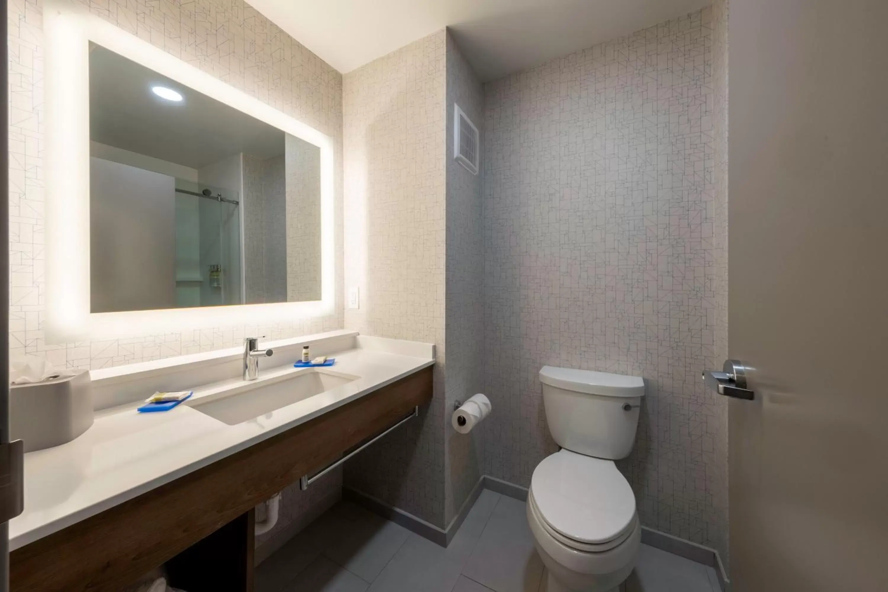 Bathroom in Holiday Inn Express Hotel & Suites Petersburg/Dinwiddie, an IHG Hotel