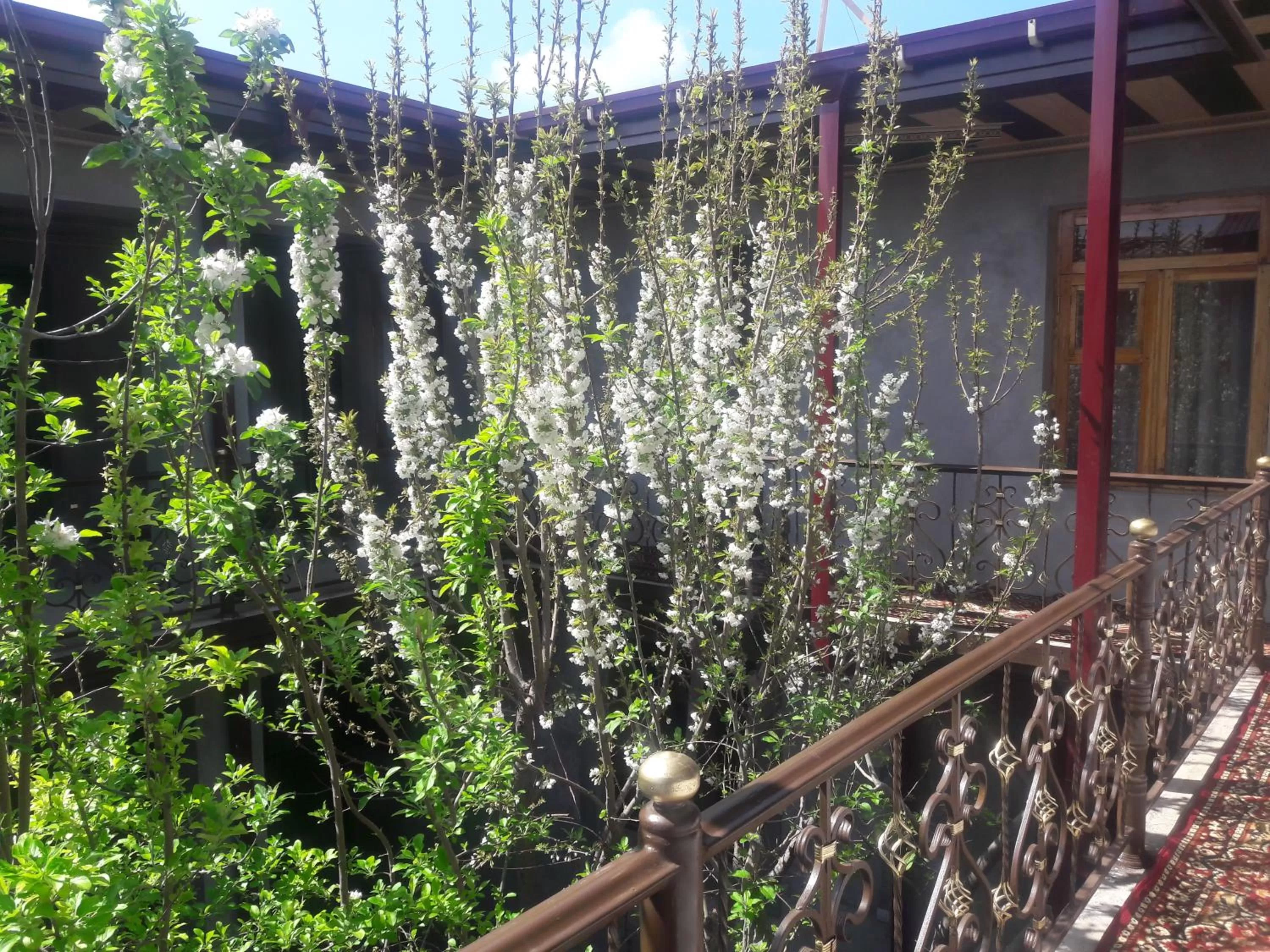 Balcony/Terrace in Hotel-129