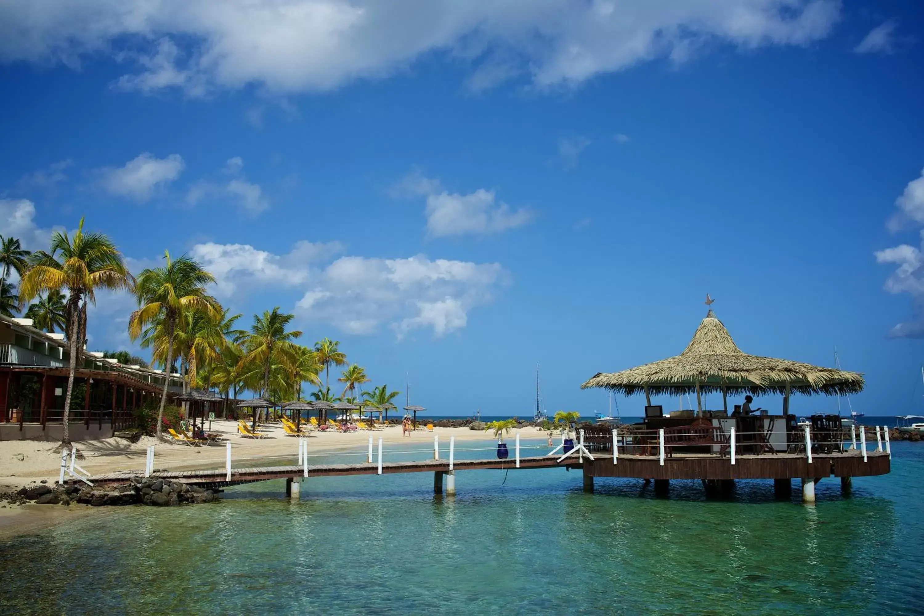 Beach, Swimming Pool in Hotel Bakoua Martinique