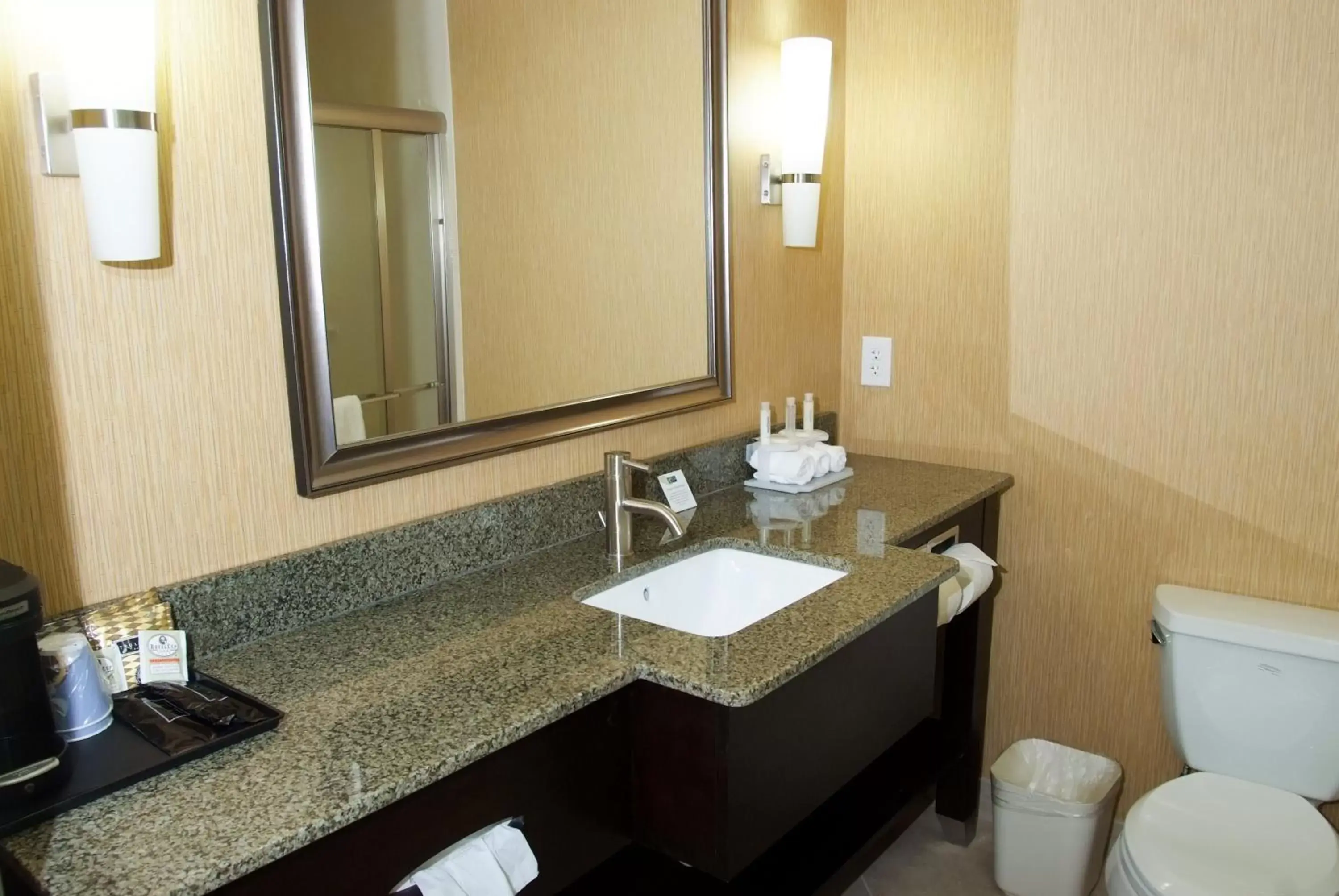 Bathroom in Holiday Inn Express Hotel & Suites Clemson - University Area, an IHG Hotel