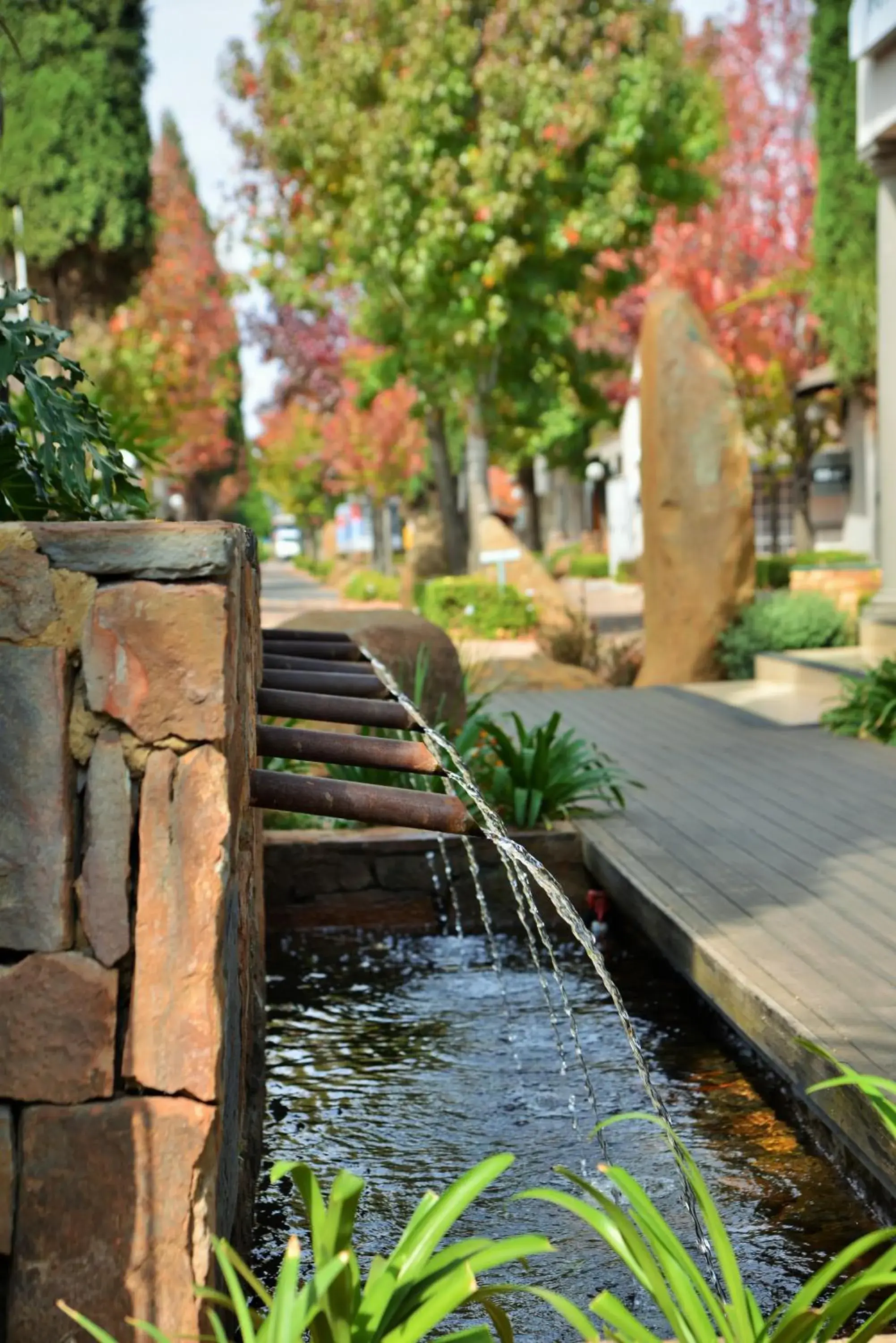 Garden, Patio/Outdoor Area in Birchwood Hotel and OR Tambo Conference Centre