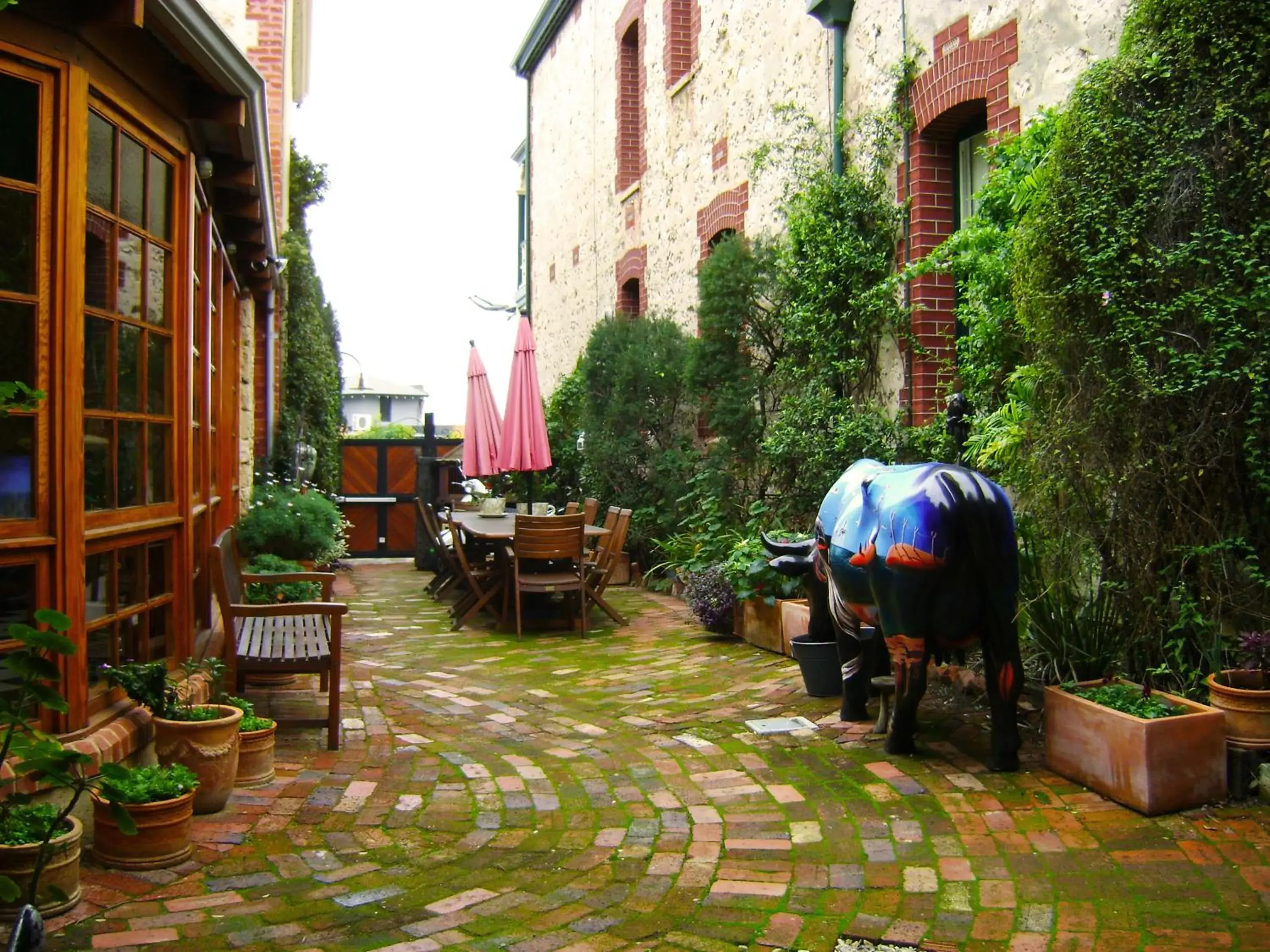 Garden in Fothergills of Fremantle