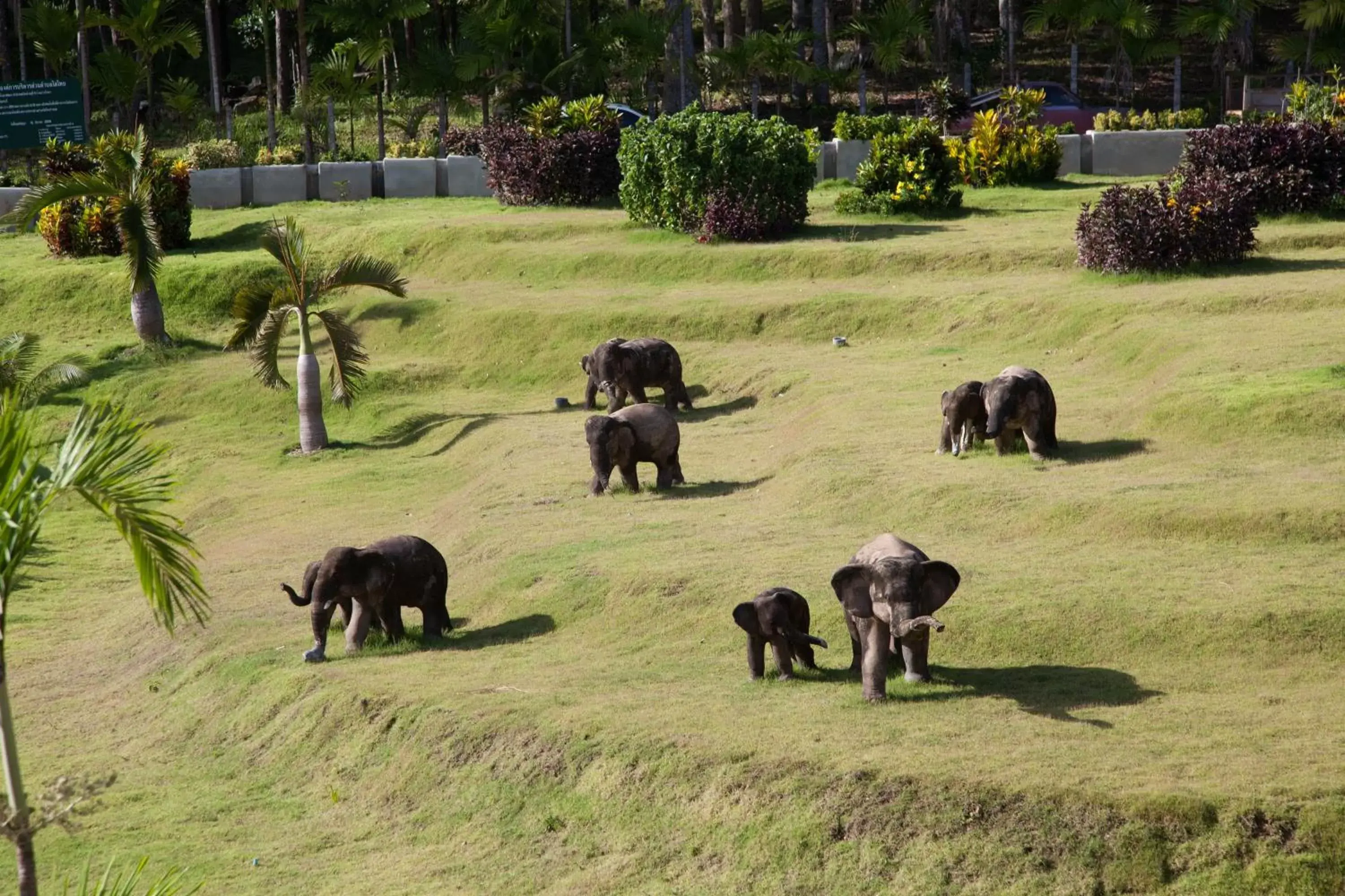 Garden, Other Animals in Arawan Krabi Beach Resort