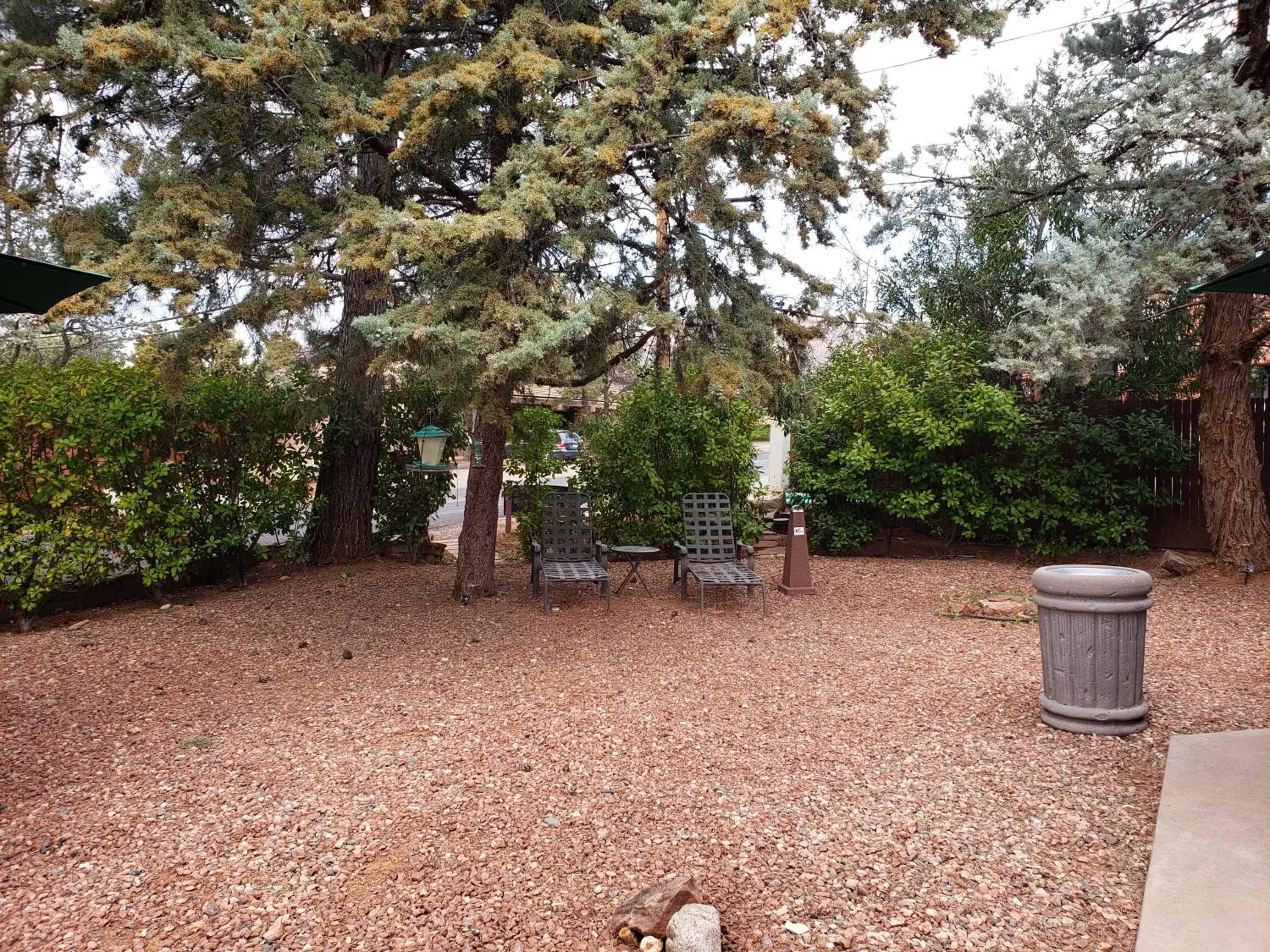 Inner courtyard view in Baby Quail Inn