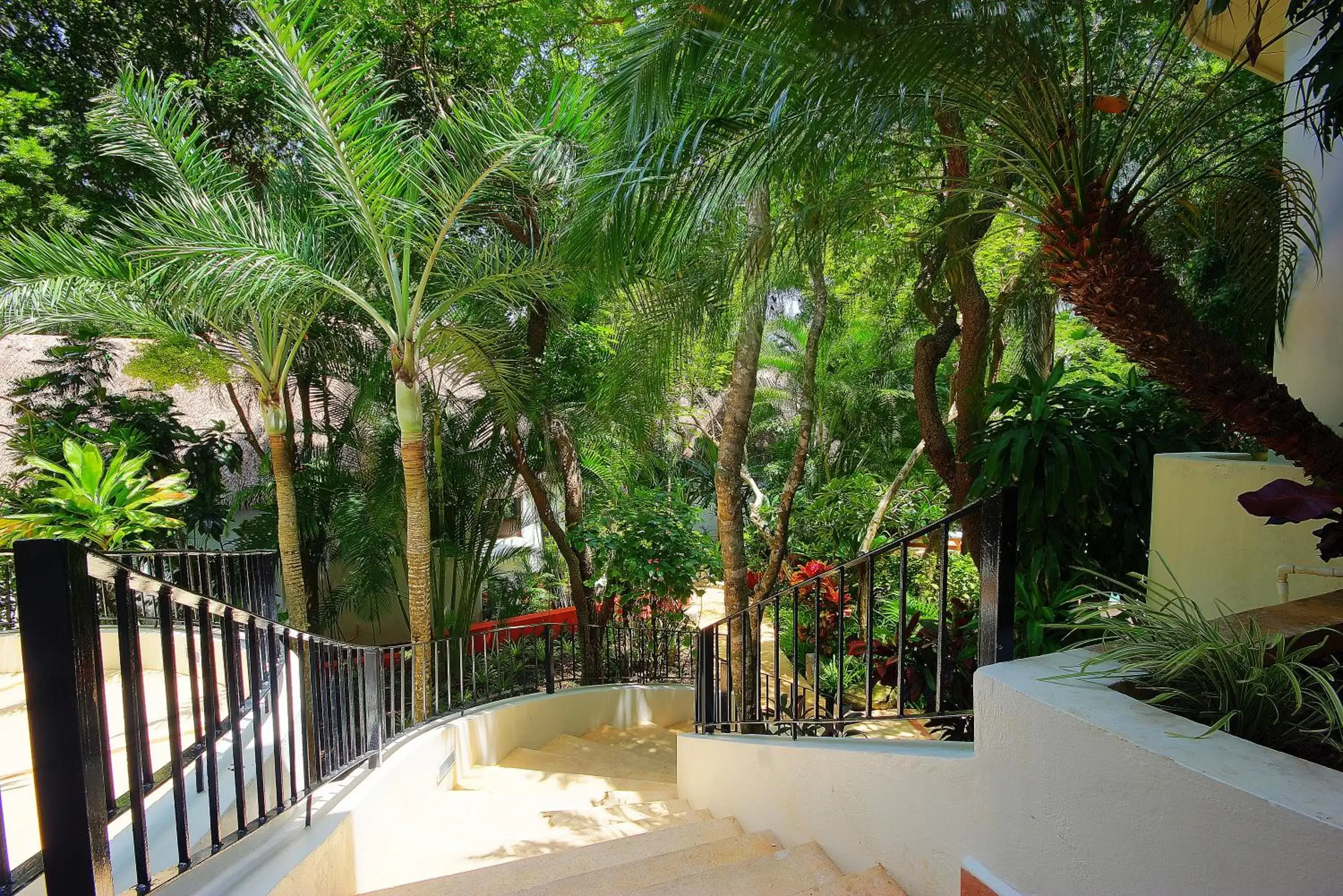 Garden in Riviera Maya Suites