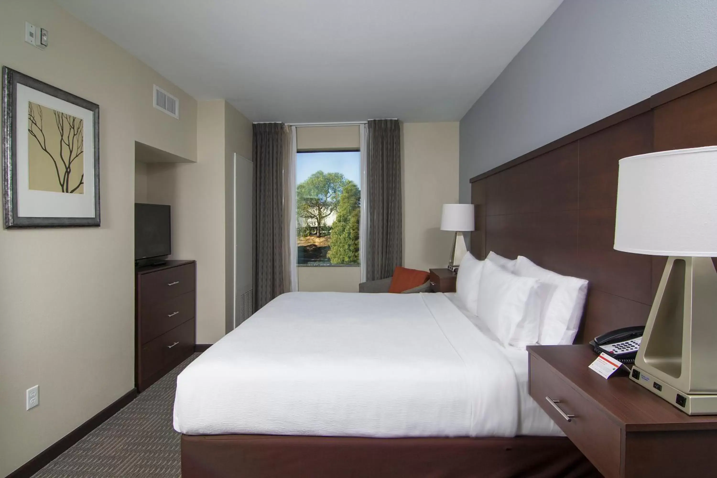 Photo of the whole room, Bed in Staybridge Suites Carlsbad/San Diego, an IHG Hotel