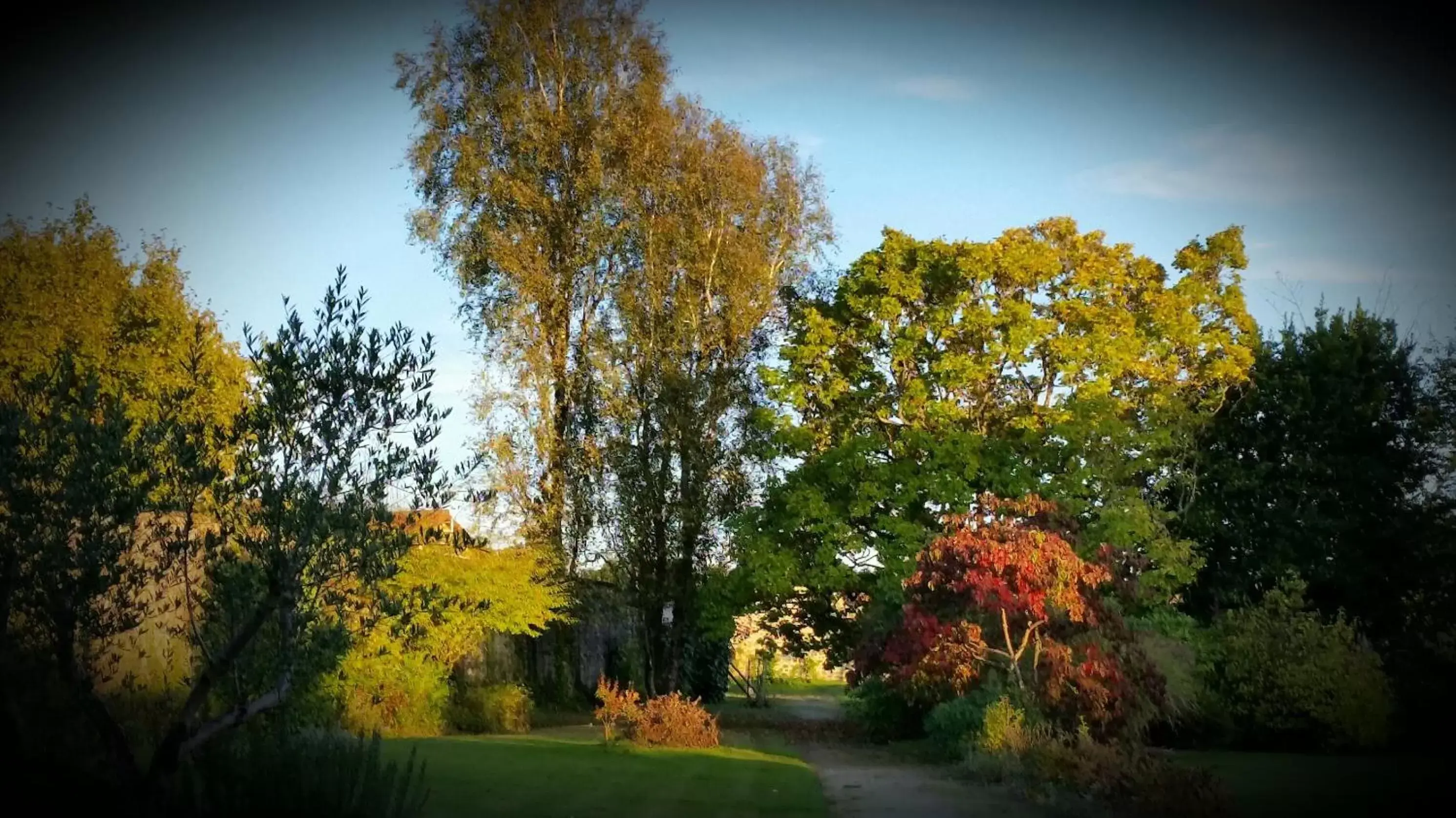 Autumn, Garden in Le Clos de La Muse