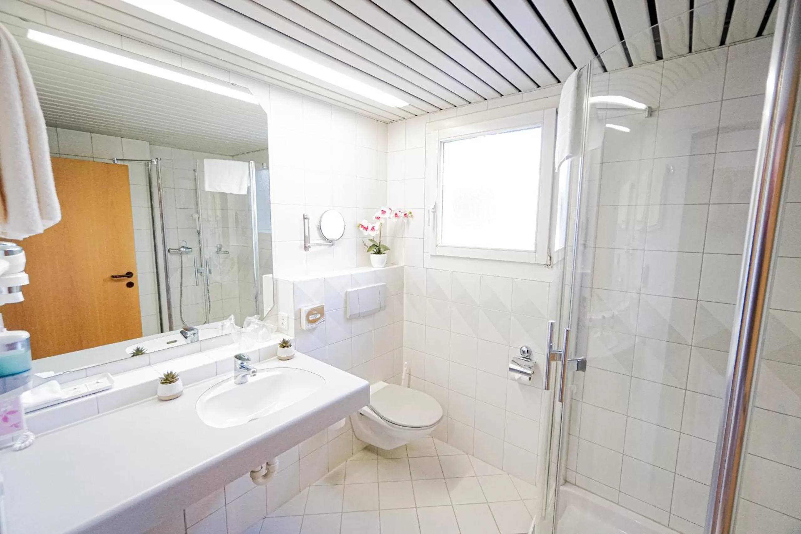 Twin Room with Private Bathroom in Centra Hotel Zurich