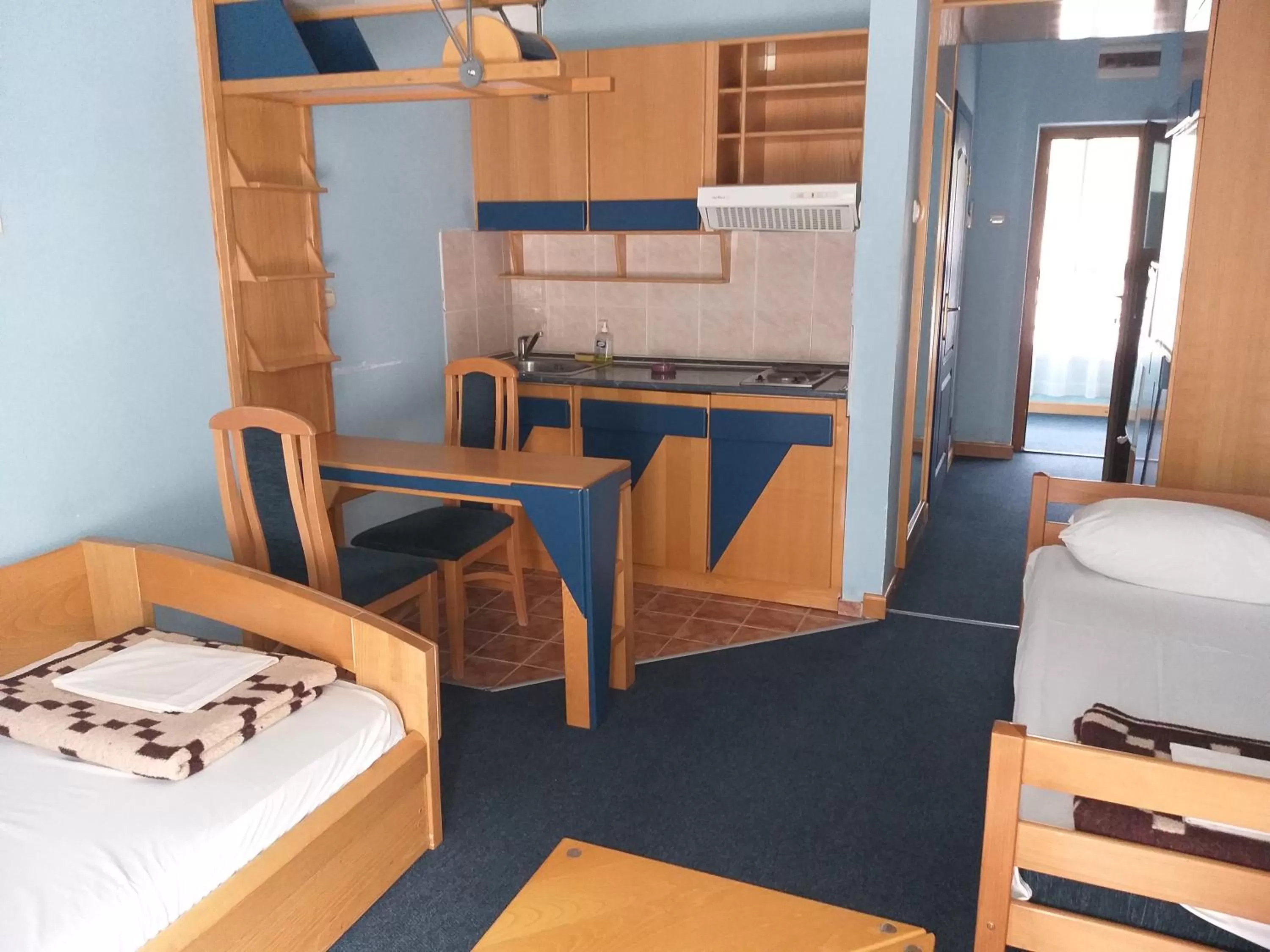 Kitchen or kitchenette in Garni Lupus prenoćište