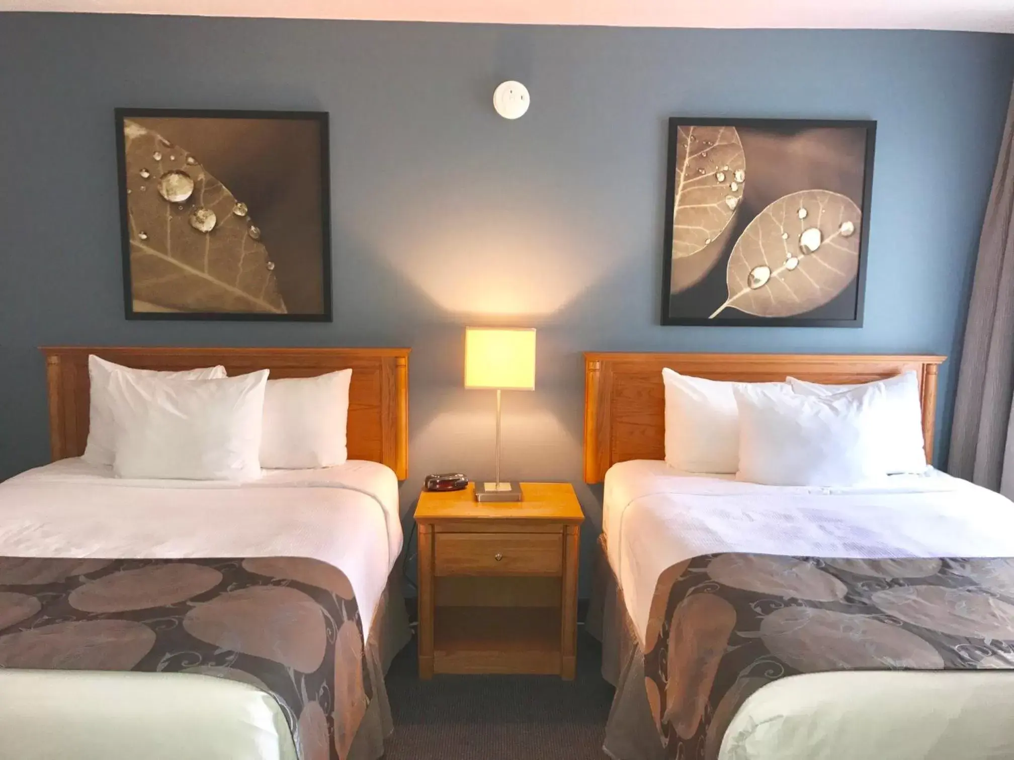 Decorative detail, Bed in Quality Inn Rouyn-Noranda