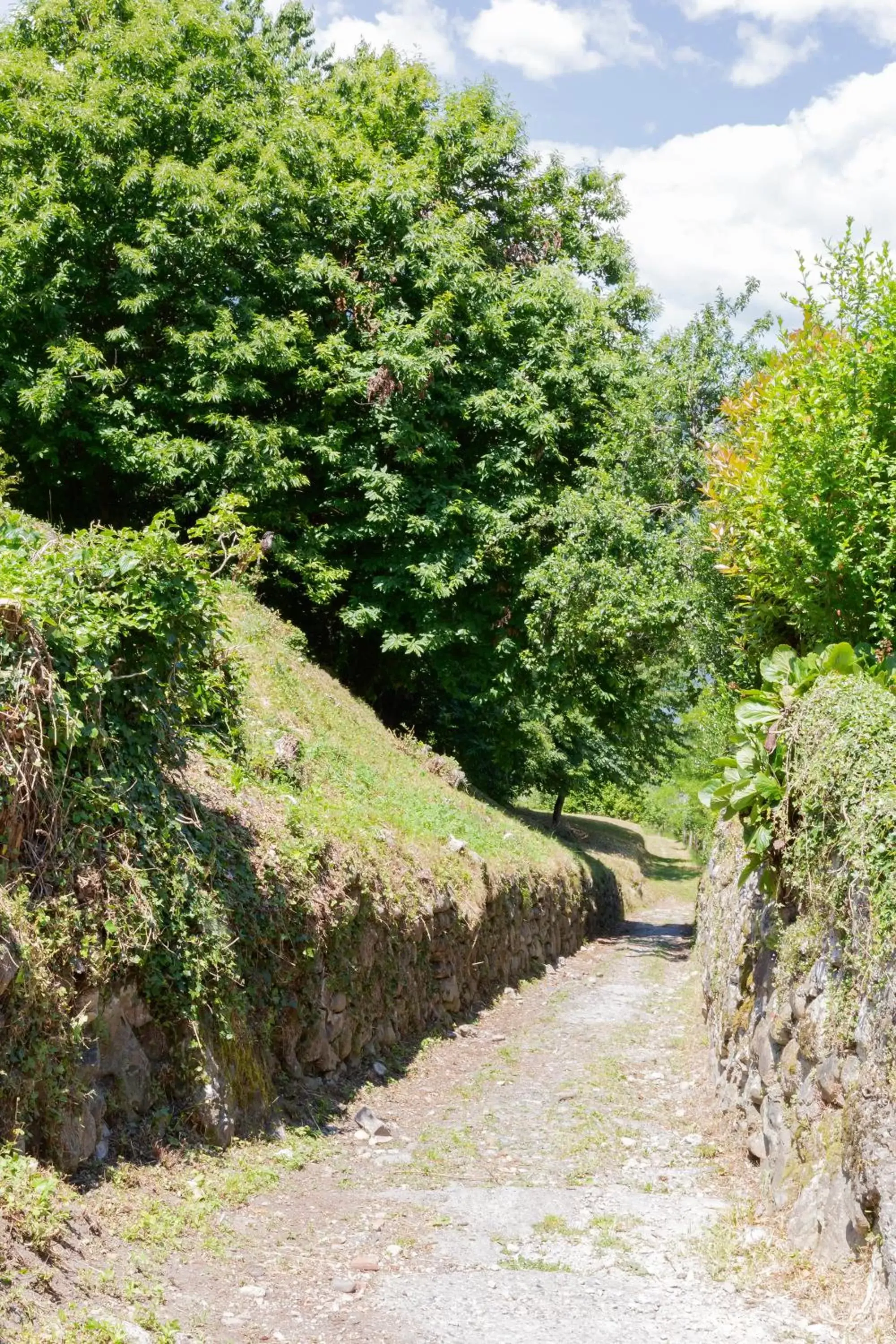 Hiking in Hotel Il Perlo Panorama