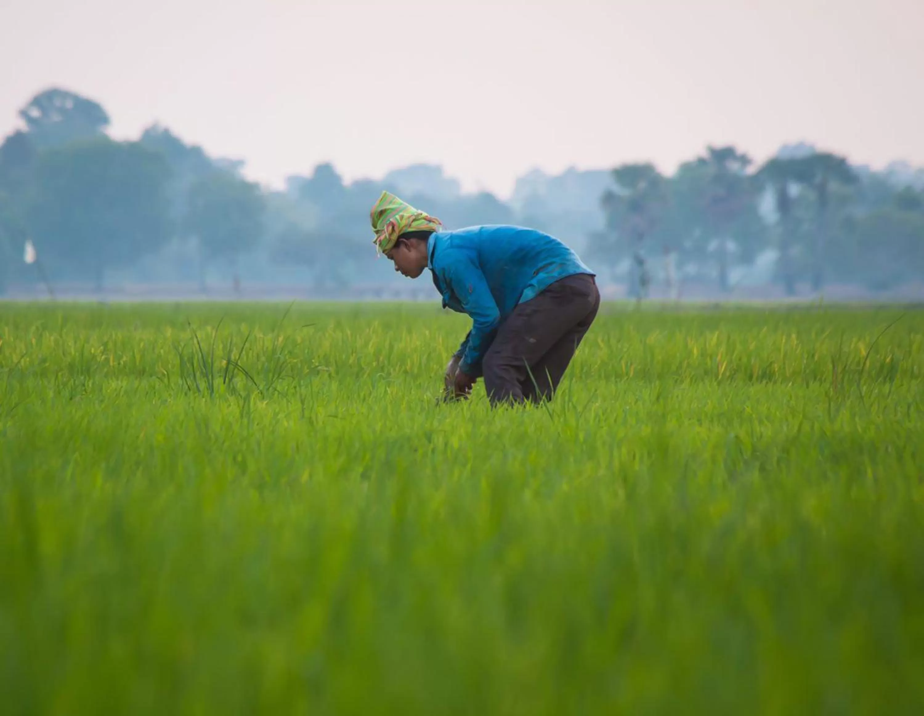 Spring in Chhay Long Angkor Boutique Hotel Siem Reap