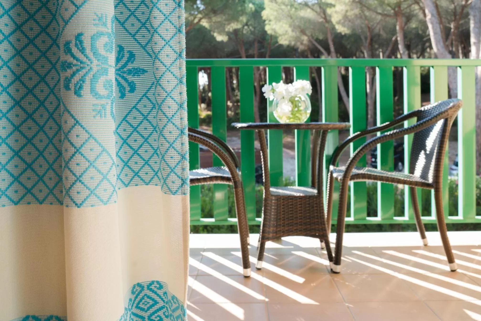 View (from property/room) in Hotel Dei Pini