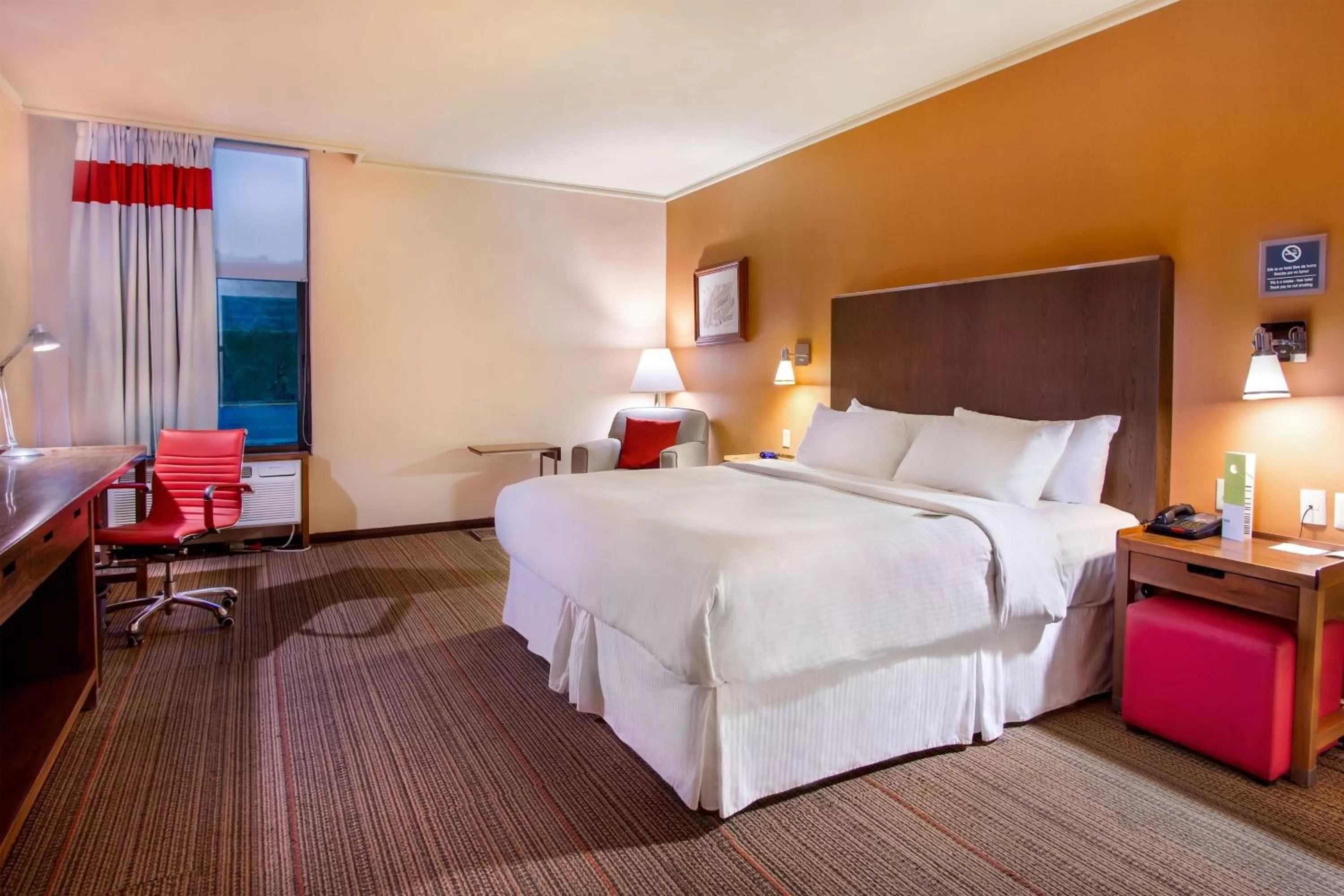 Photo of the whole room, Bed in Four Points by Sheraton Saltillo