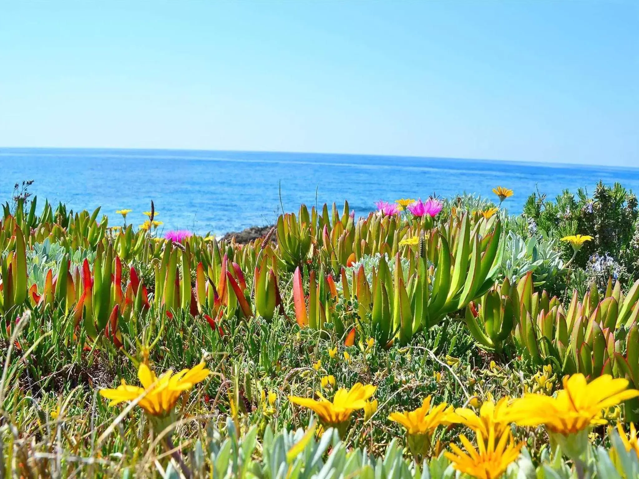 Sea view in Incanto delle Ninfe