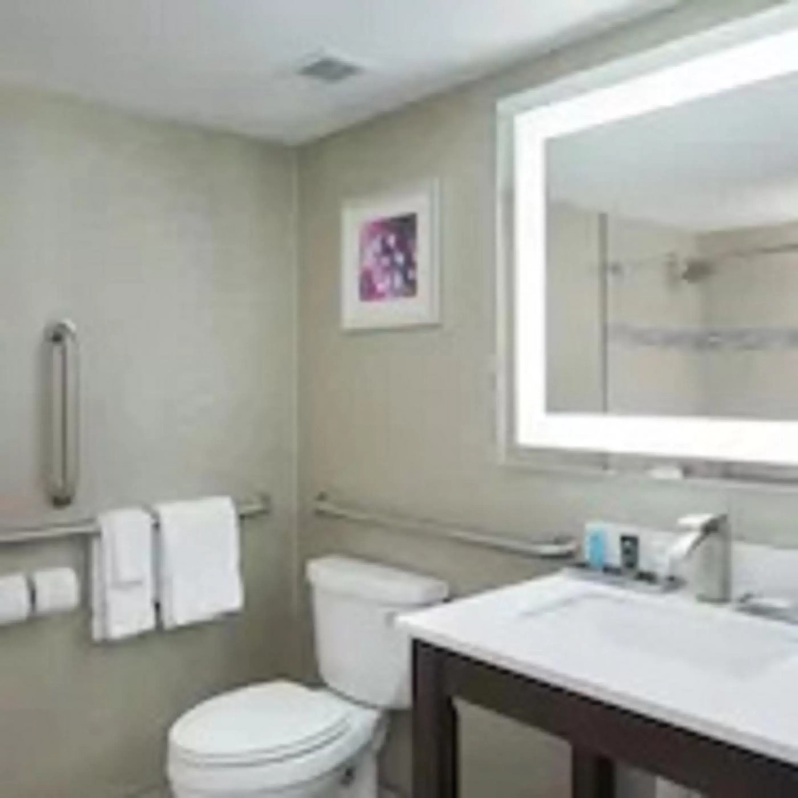 Bathroom in Crowne Plaza Chicago SW - Burr Ridge, an IHG Hotel