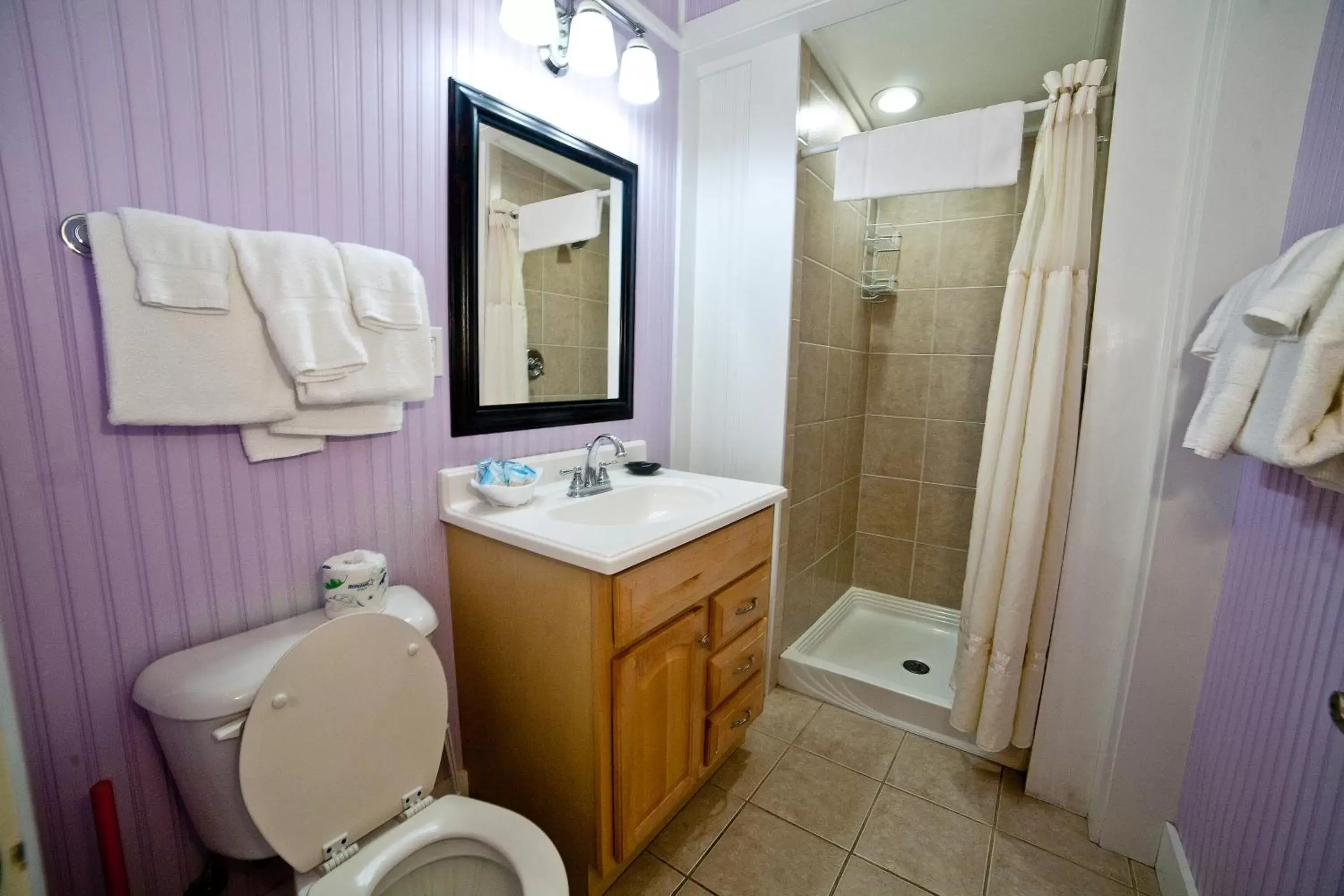 Bathroom in Georgianne Inn & Suites check in 212 Bulter Ave