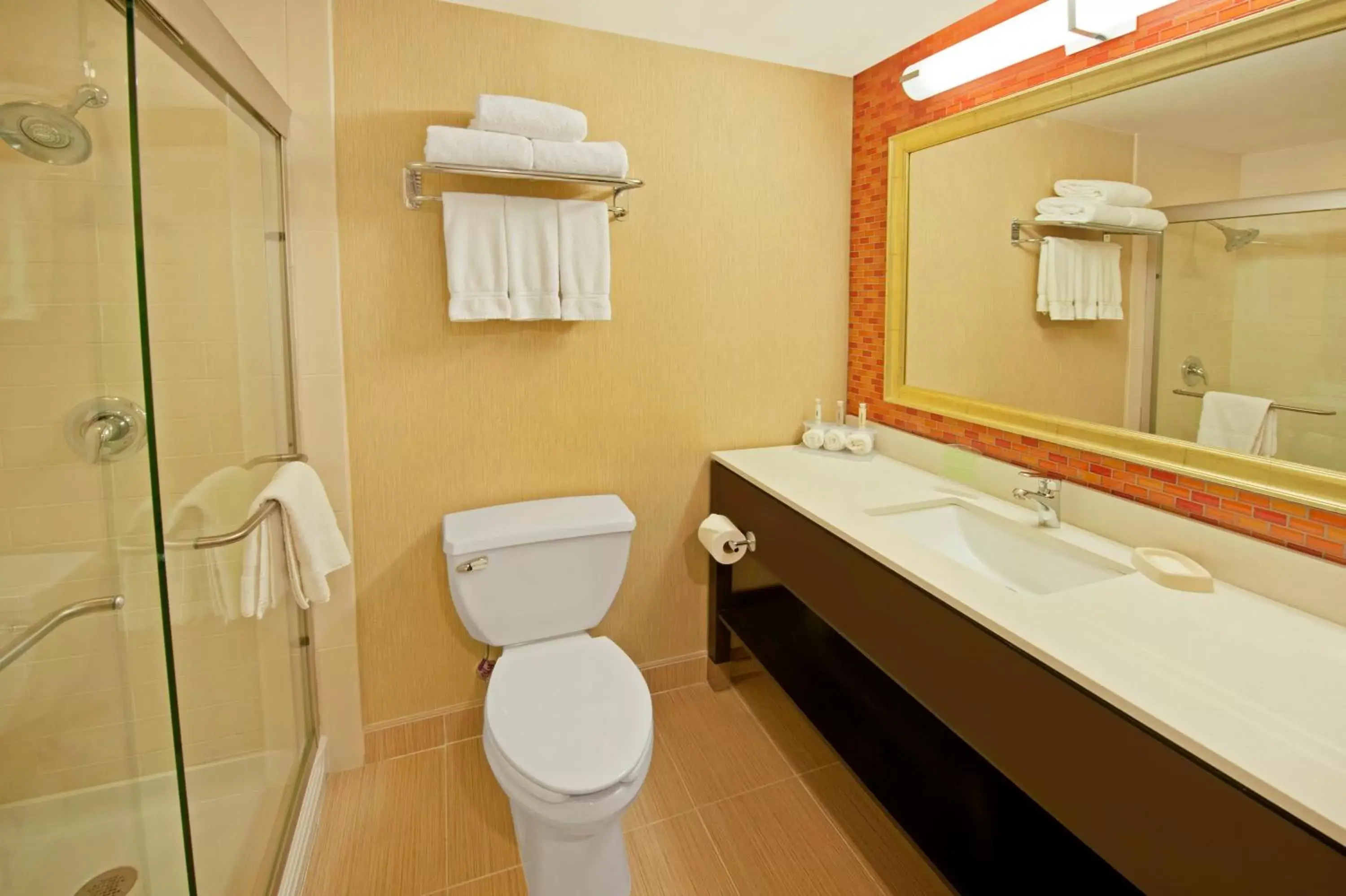 Bathroom in Holiday Inn Express Princeton Southeast, an IHG Hotel