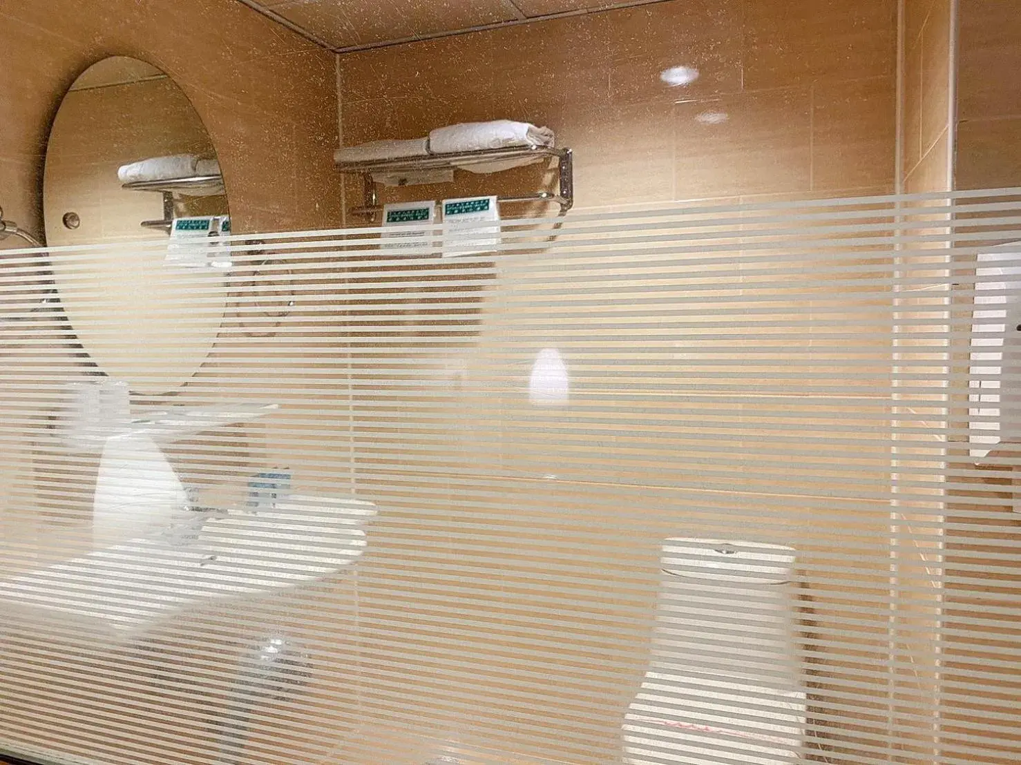 Shower, Bathroom in Seed Hotel