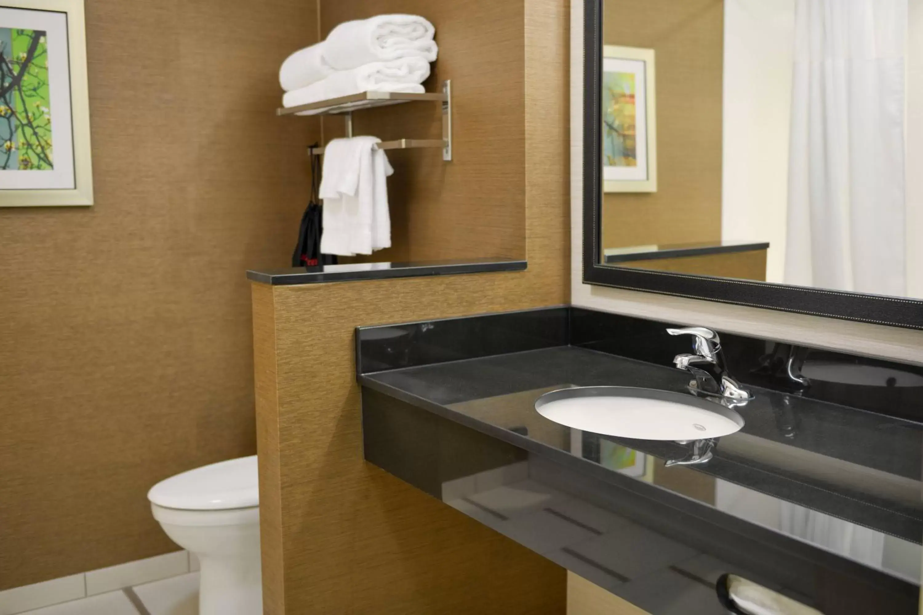 Bathroom in Fairfield Inn and Suites Canton South