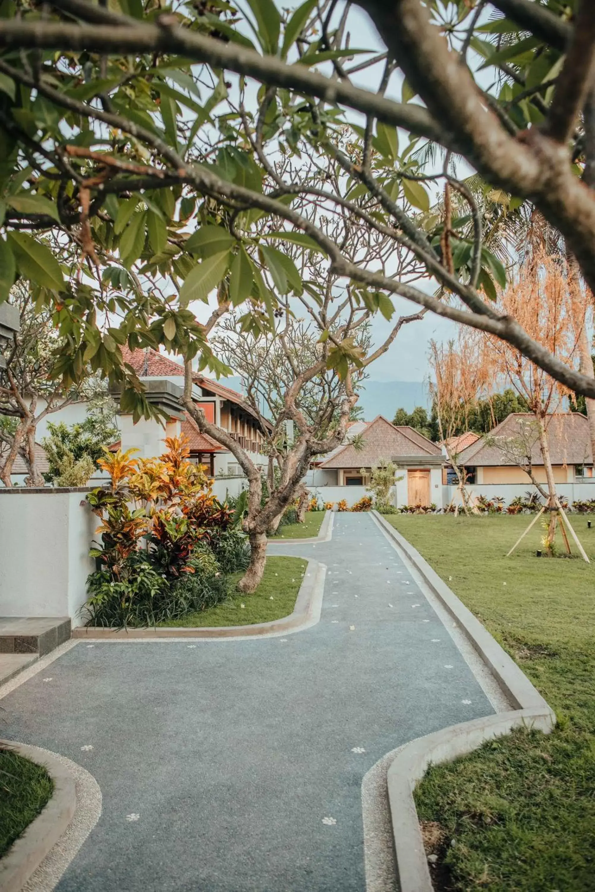 Garden in New Sunari Lovina Beach Resort Garden in New Sunari Lovina Beach Resort