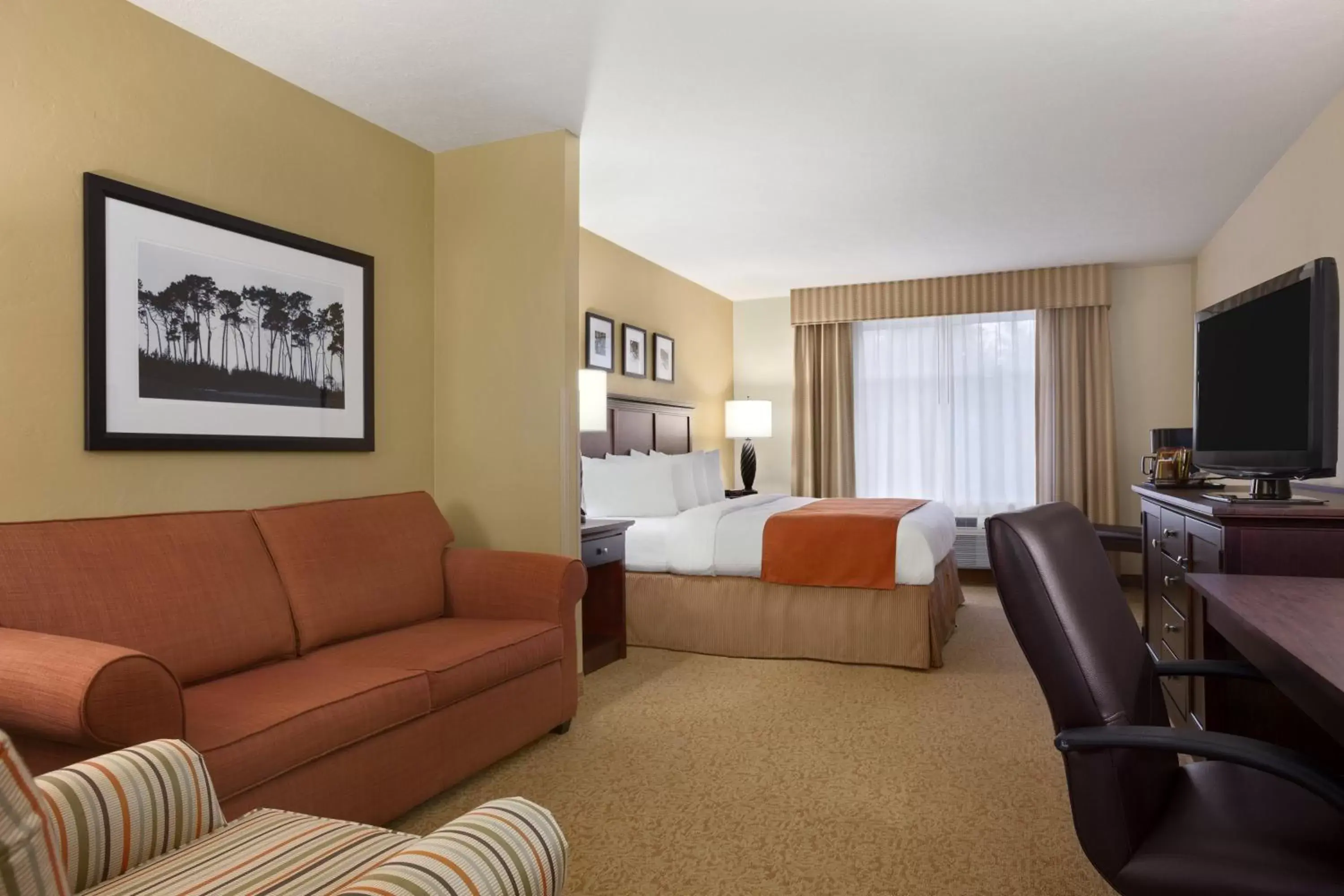 King Studio Suite with Sofa Bed - Non-Smoking in Country Inn & Suites by Radisson, Albany, GA