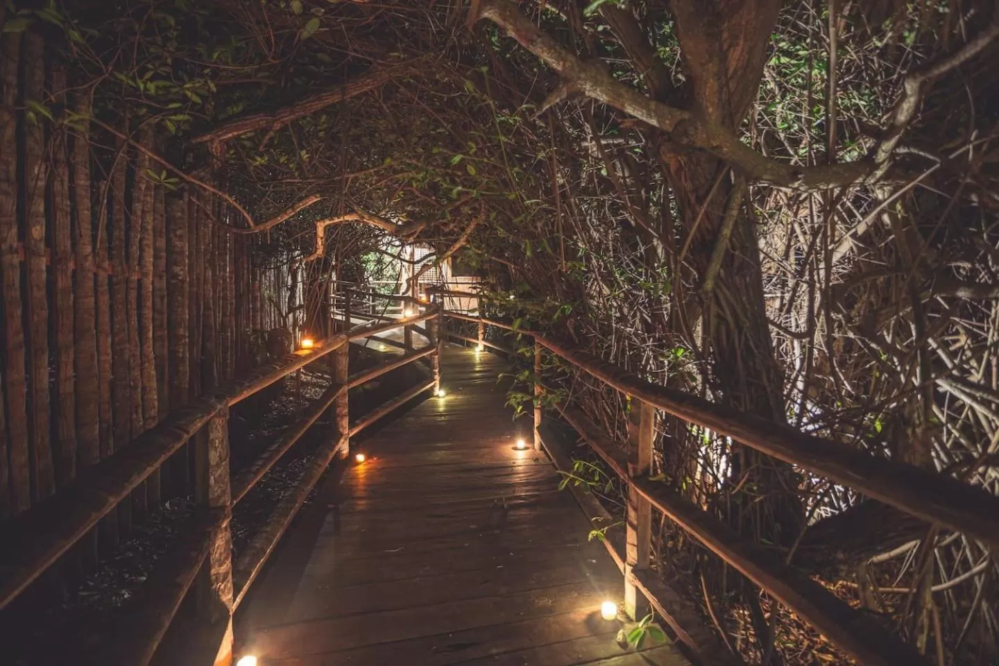 Facade/entrance in Hidden Treehouse Tulum Eco-Hotel