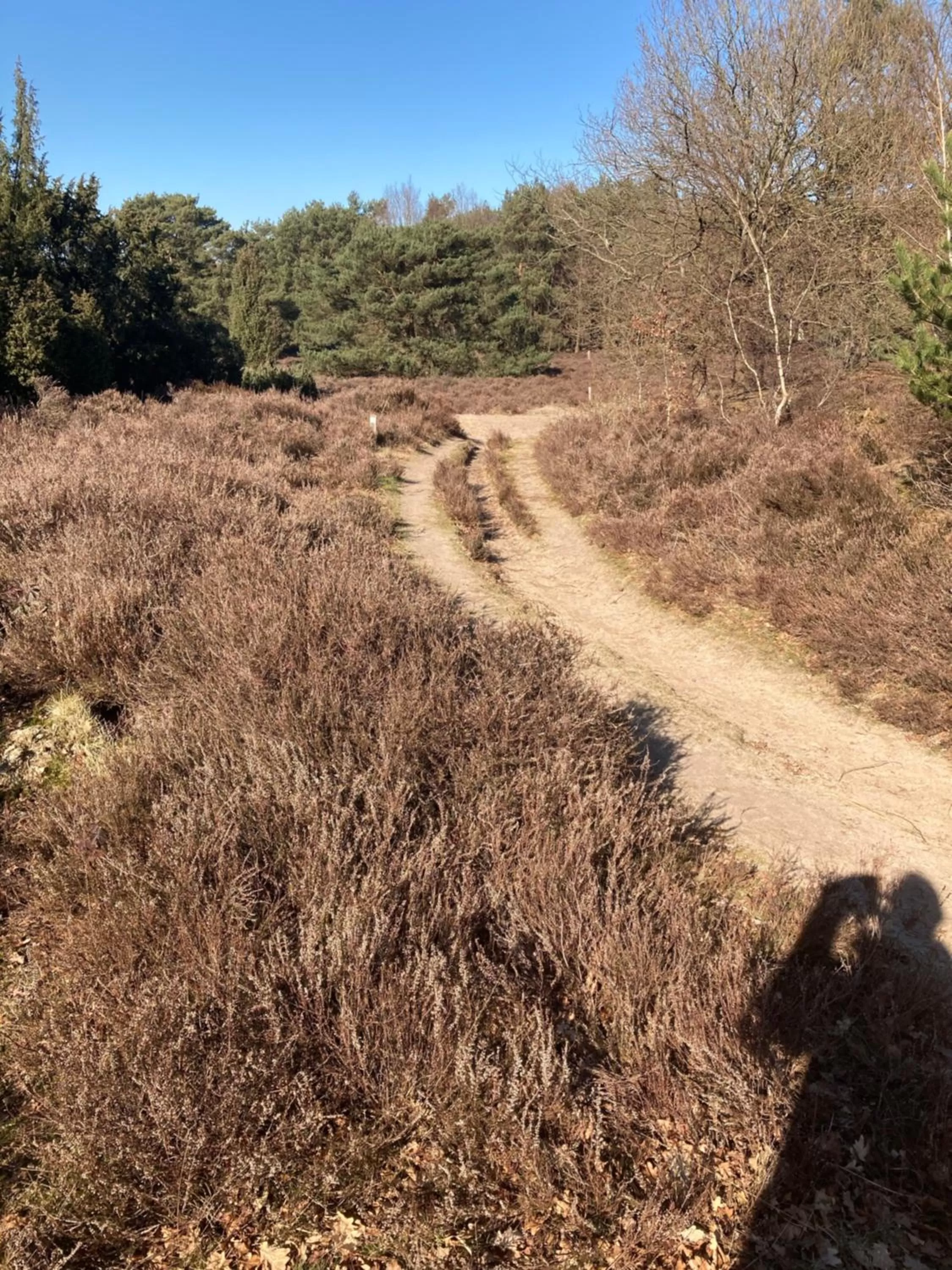 Bed & Breakfast Beilerhorst