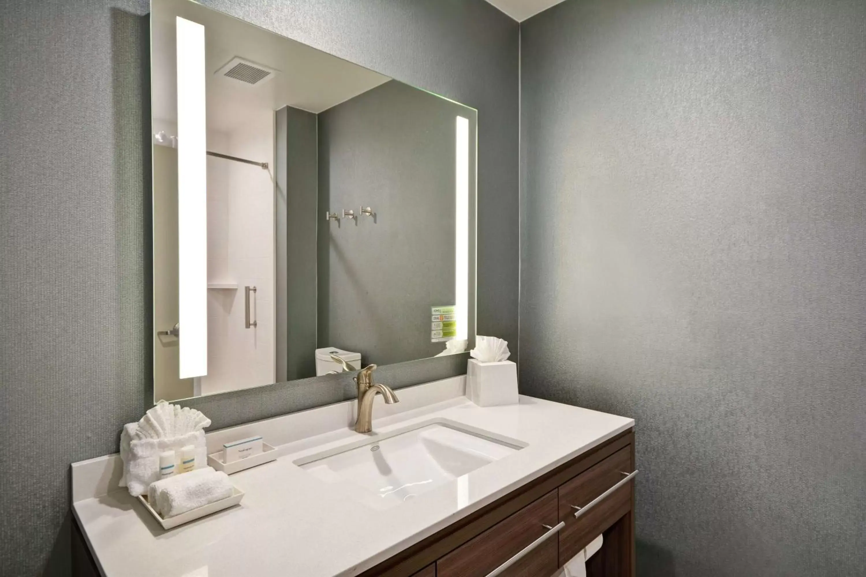 Bathroom in Home2 Suites Plano Legacy West