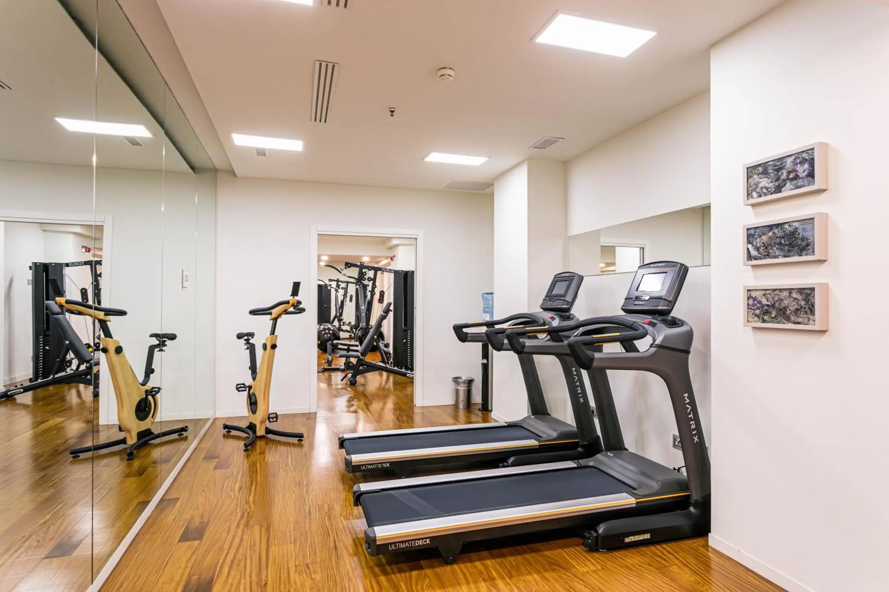 Activities, Fitness Center/Facilities in Hotel Milano Scala