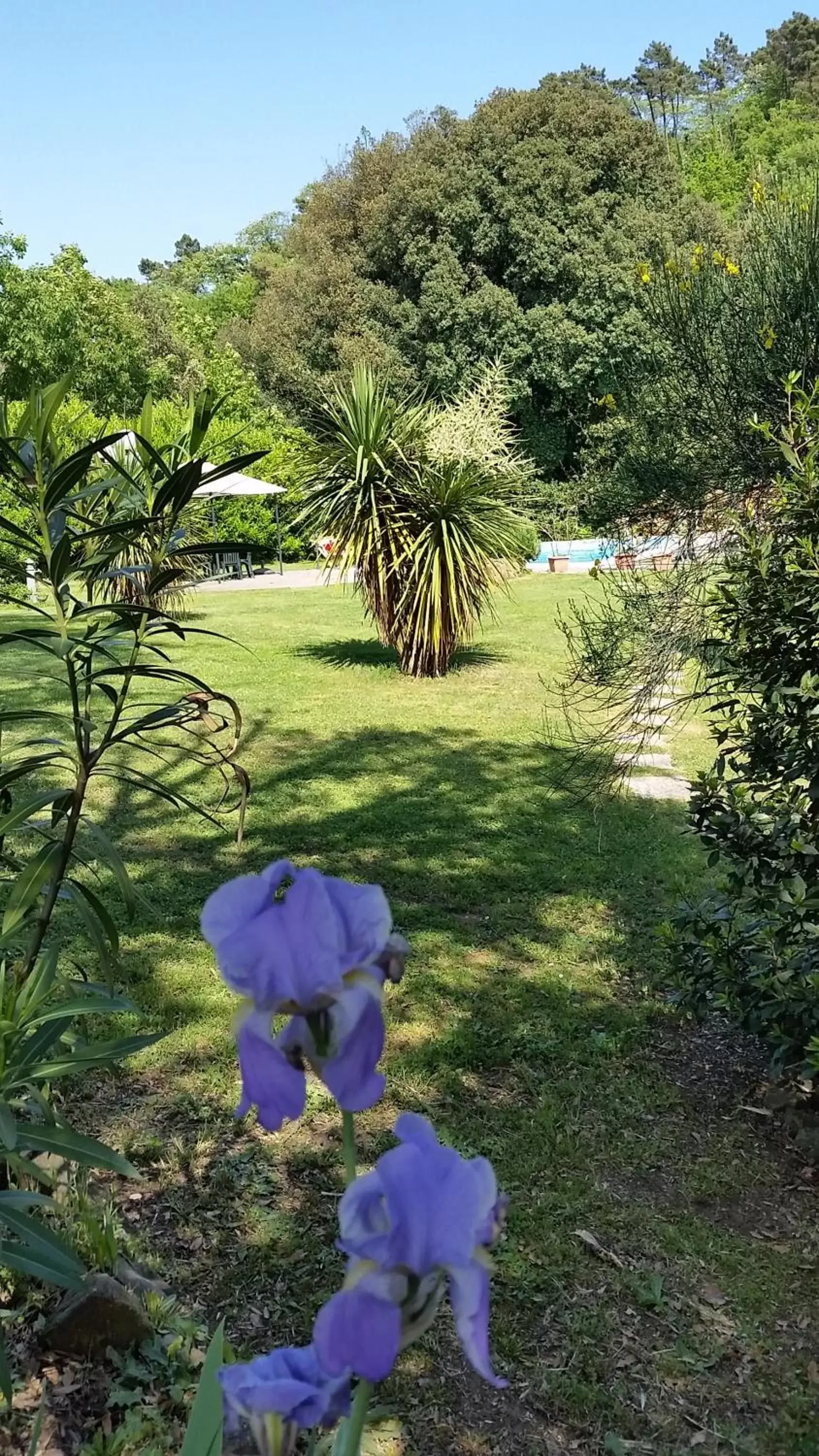 Garden in Hotel Monti