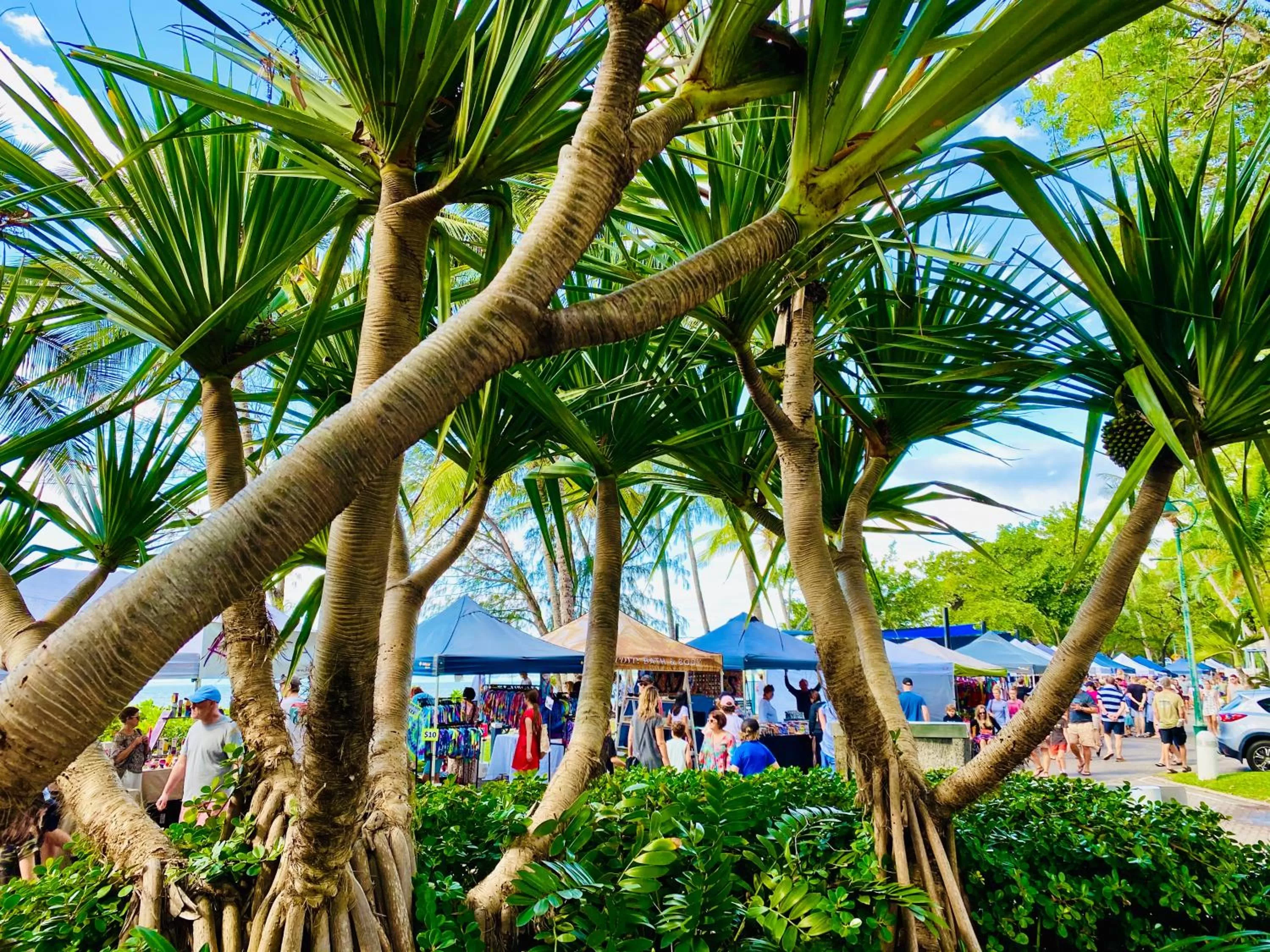 Nearby landmark in BeachView Apartments at Villa Paradiso