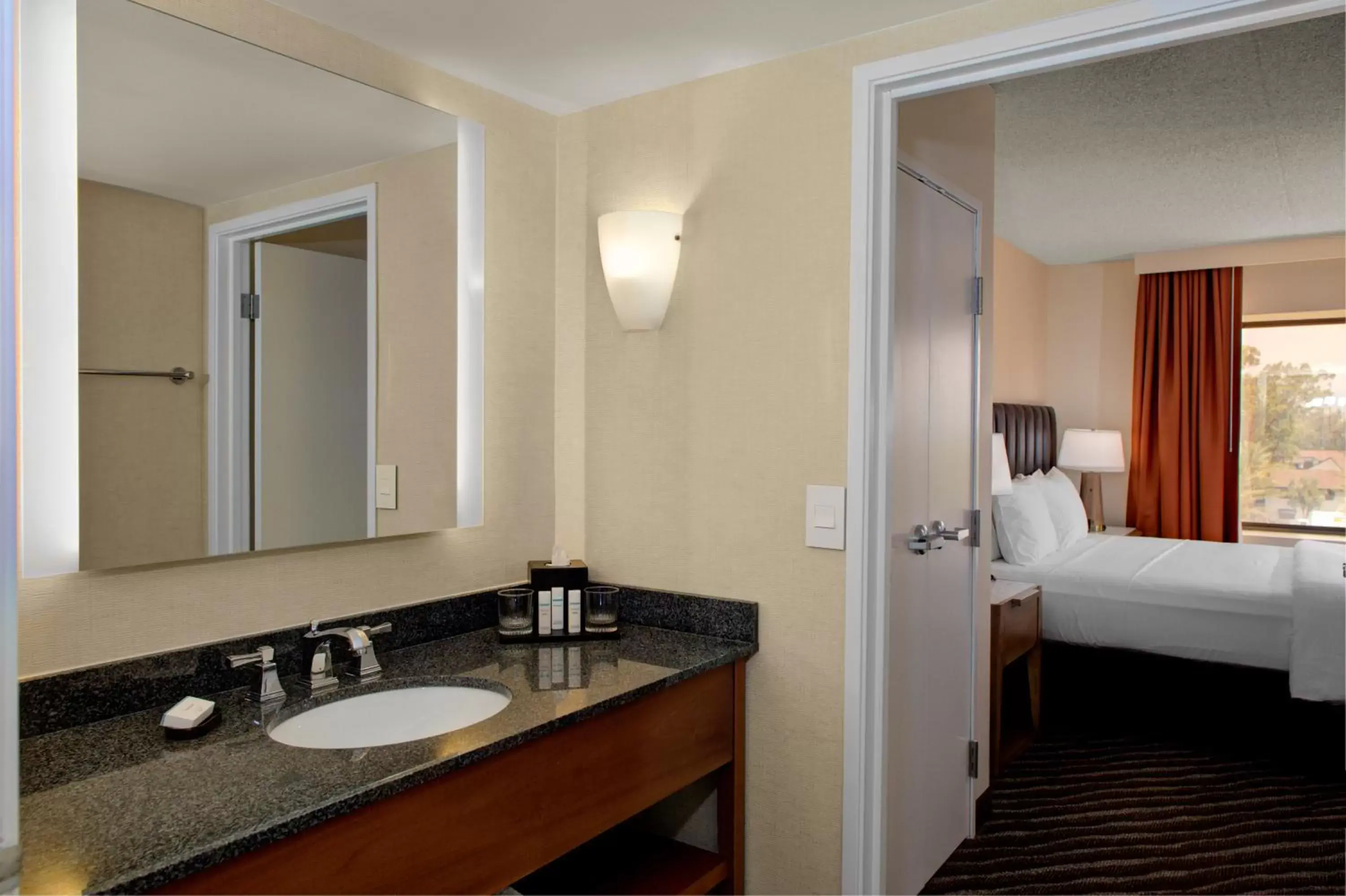 Bathroom in Embassy Suites by Hilton Phoenix Scottsdale