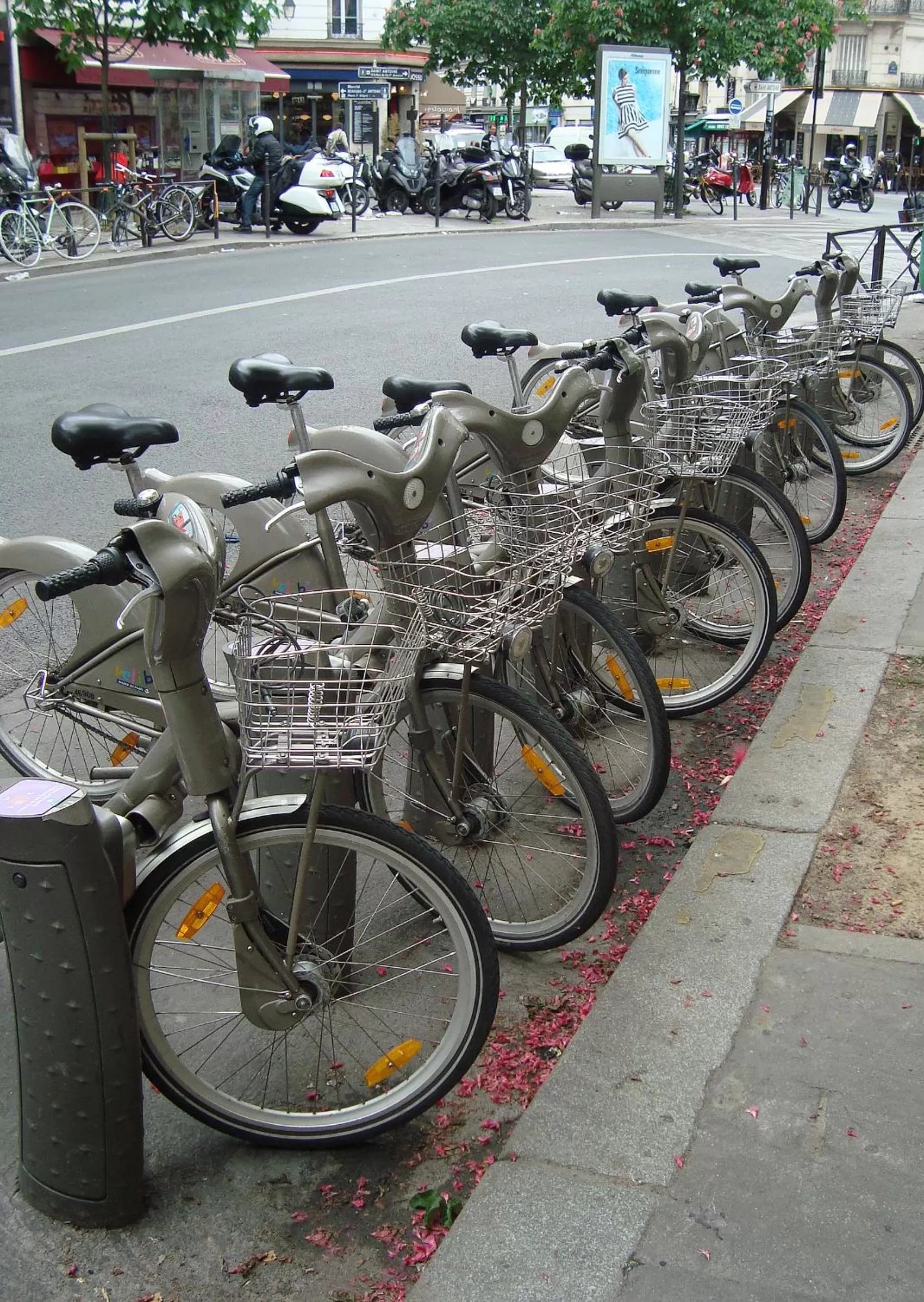 Activities in Color Design Hotel