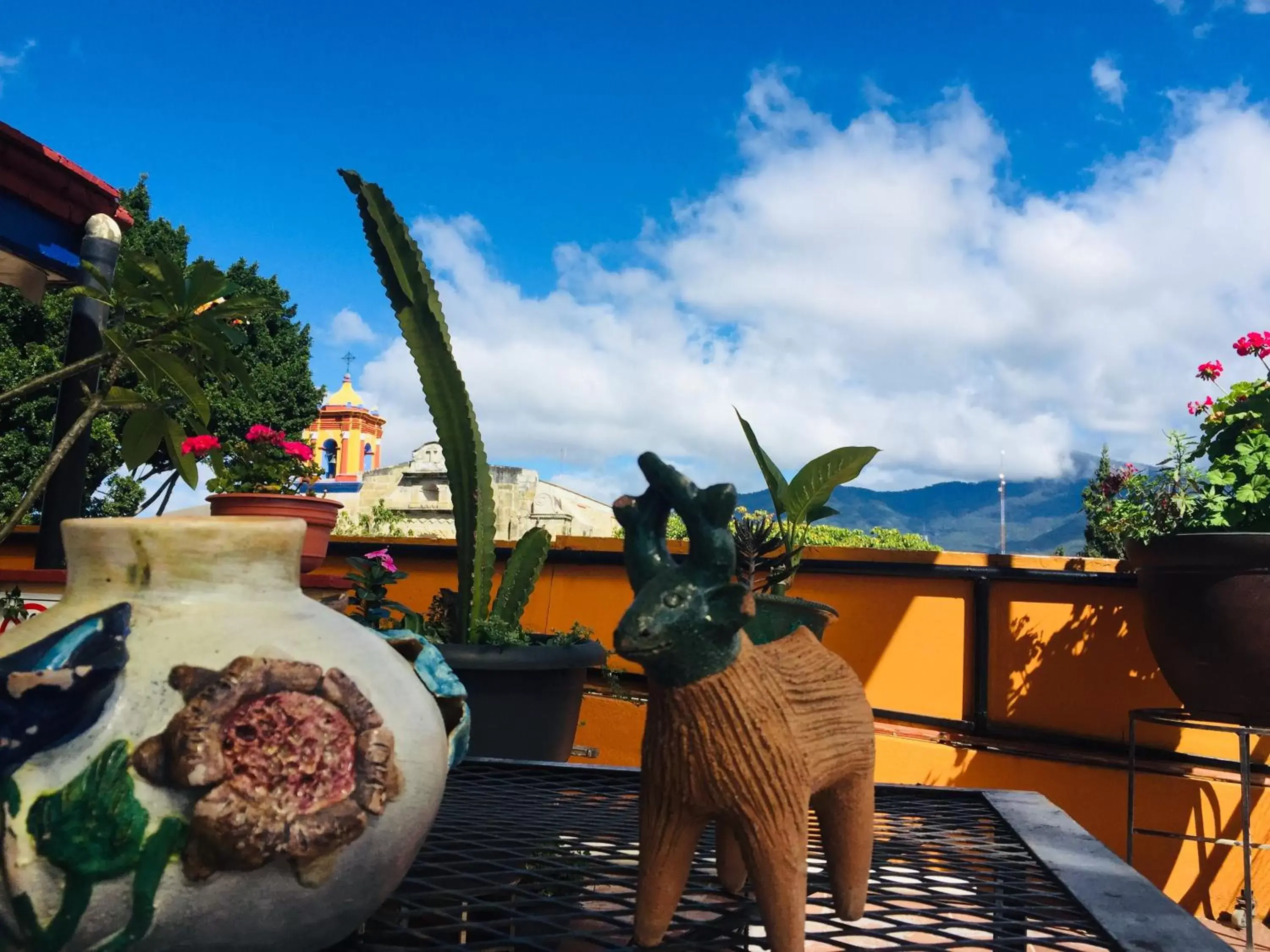 Balcony/Terrace in Hotel Cazomalli Oaxaca