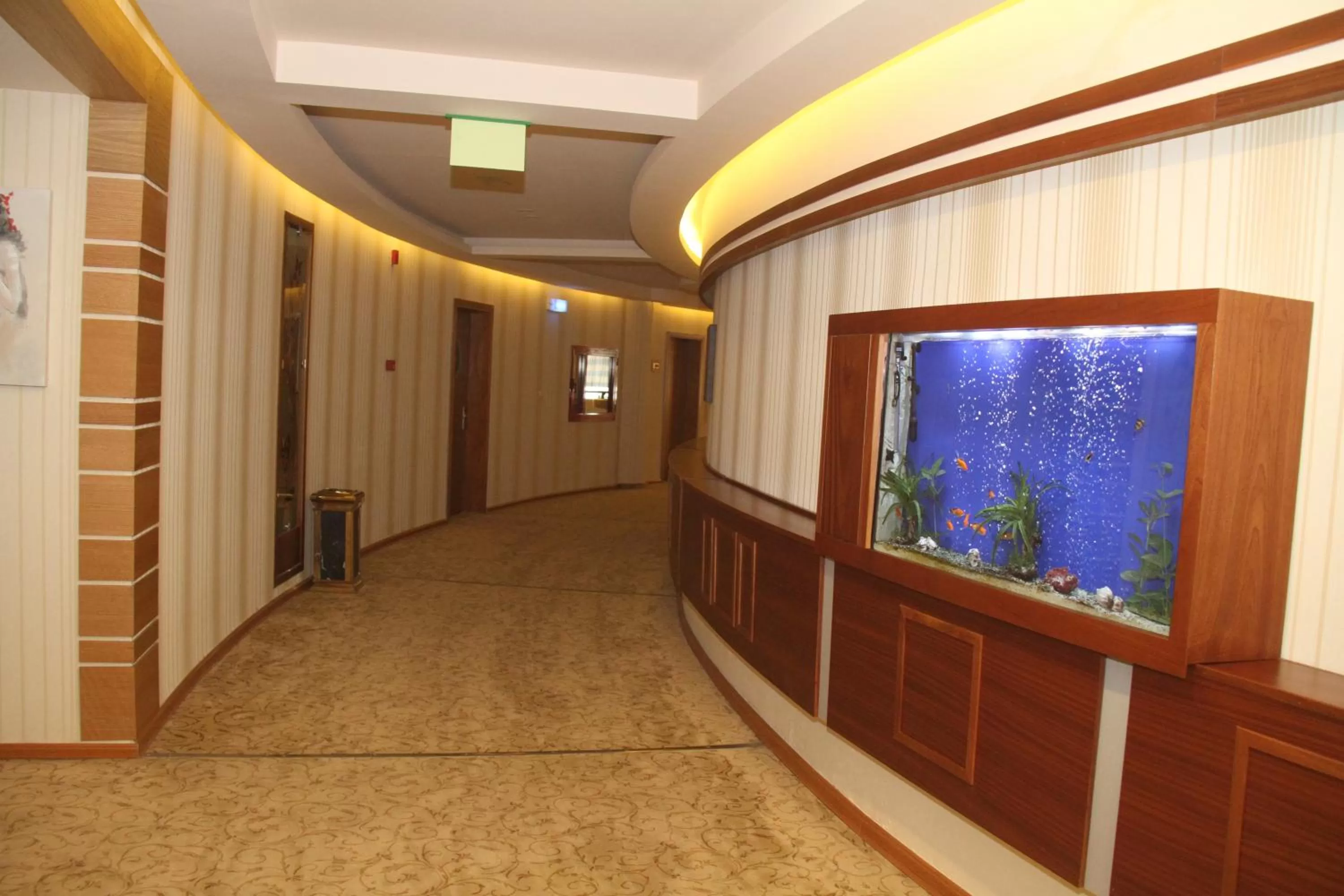 Patio, Lobby/Reception in Saleem Afandi Hotel