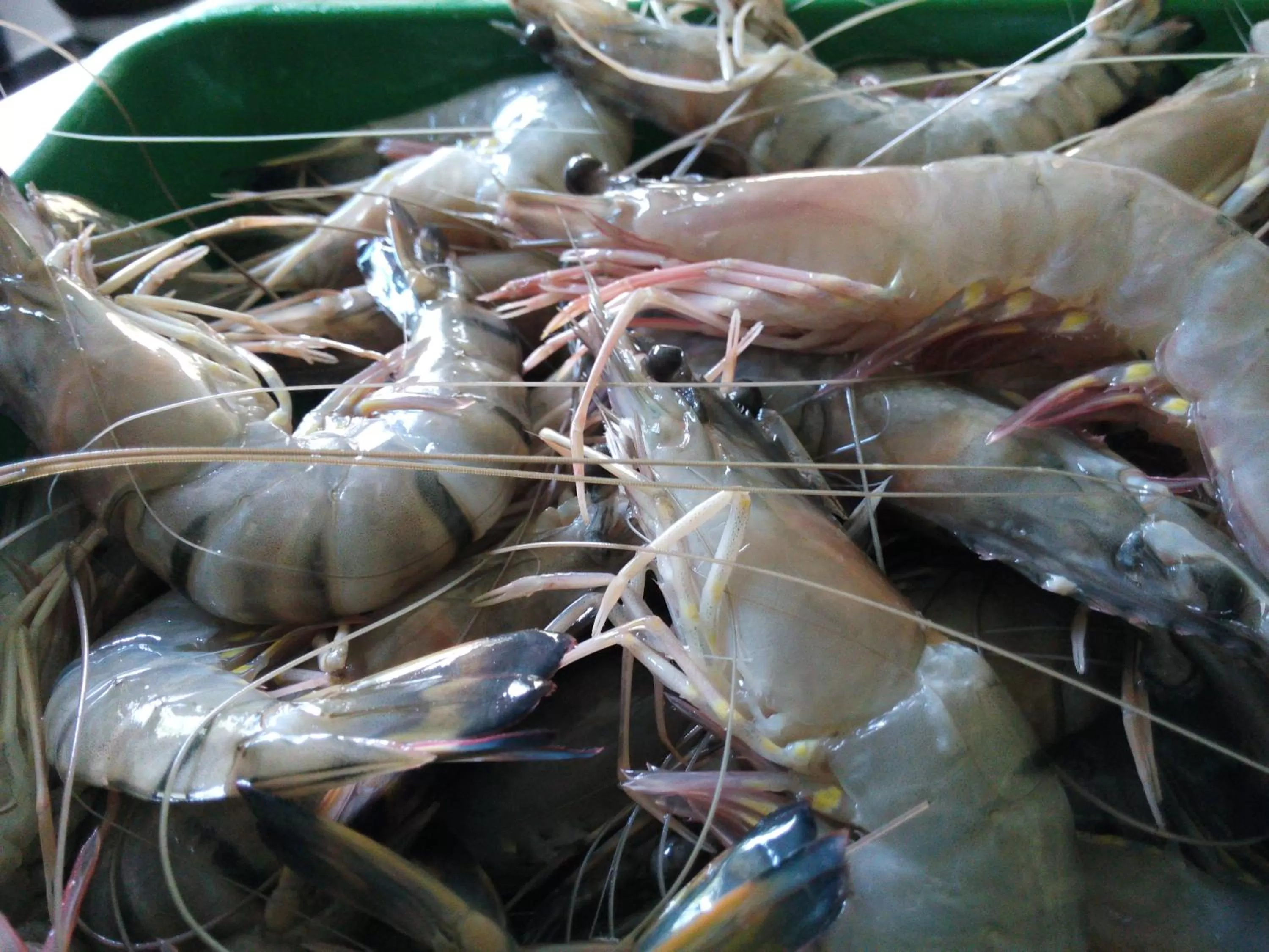 Other in Inlak Garden Hotel