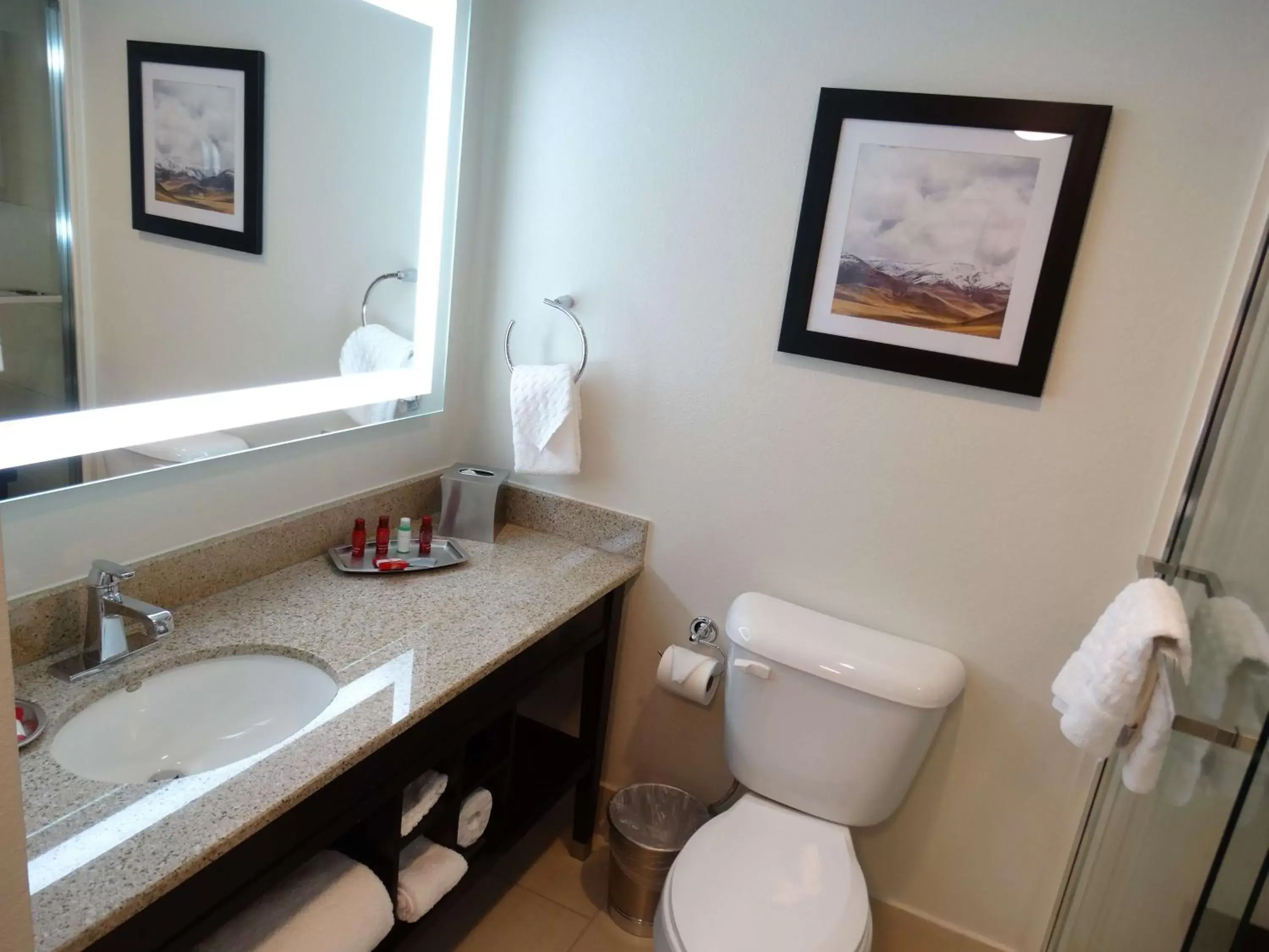 Bathroom in Best Western Premier Denver East