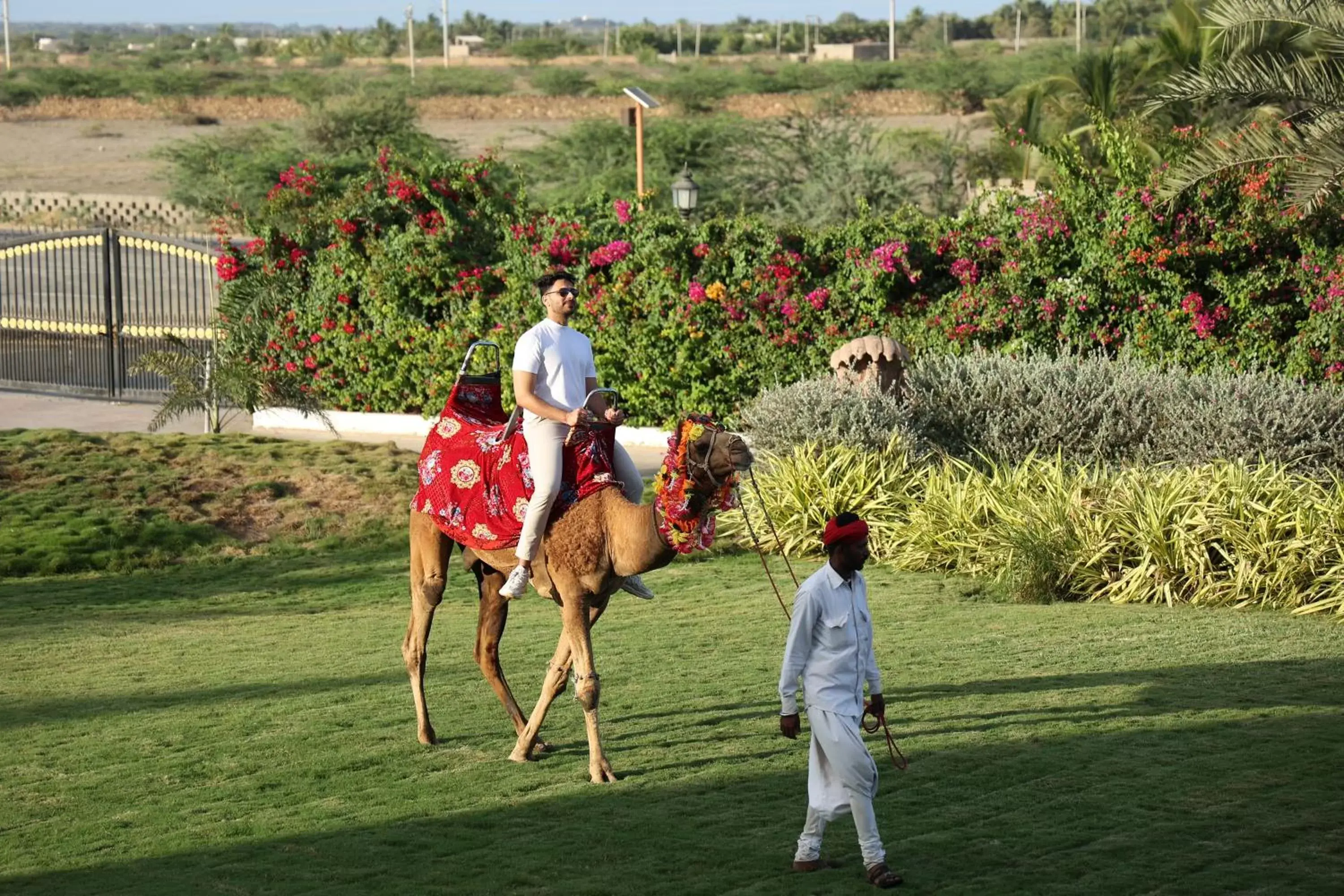 Activities in The Fern Sattva Resort, Dwarka