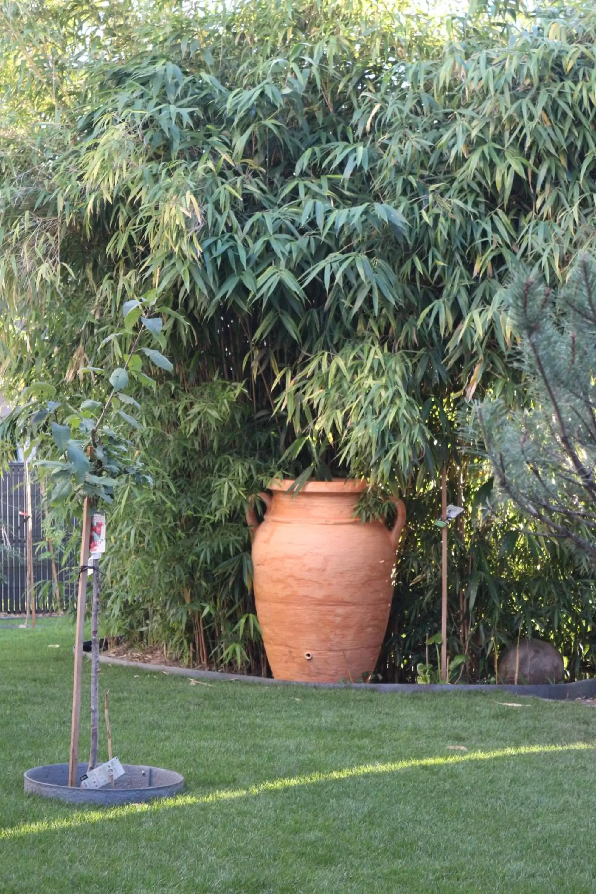 Garden in VILLA MADY