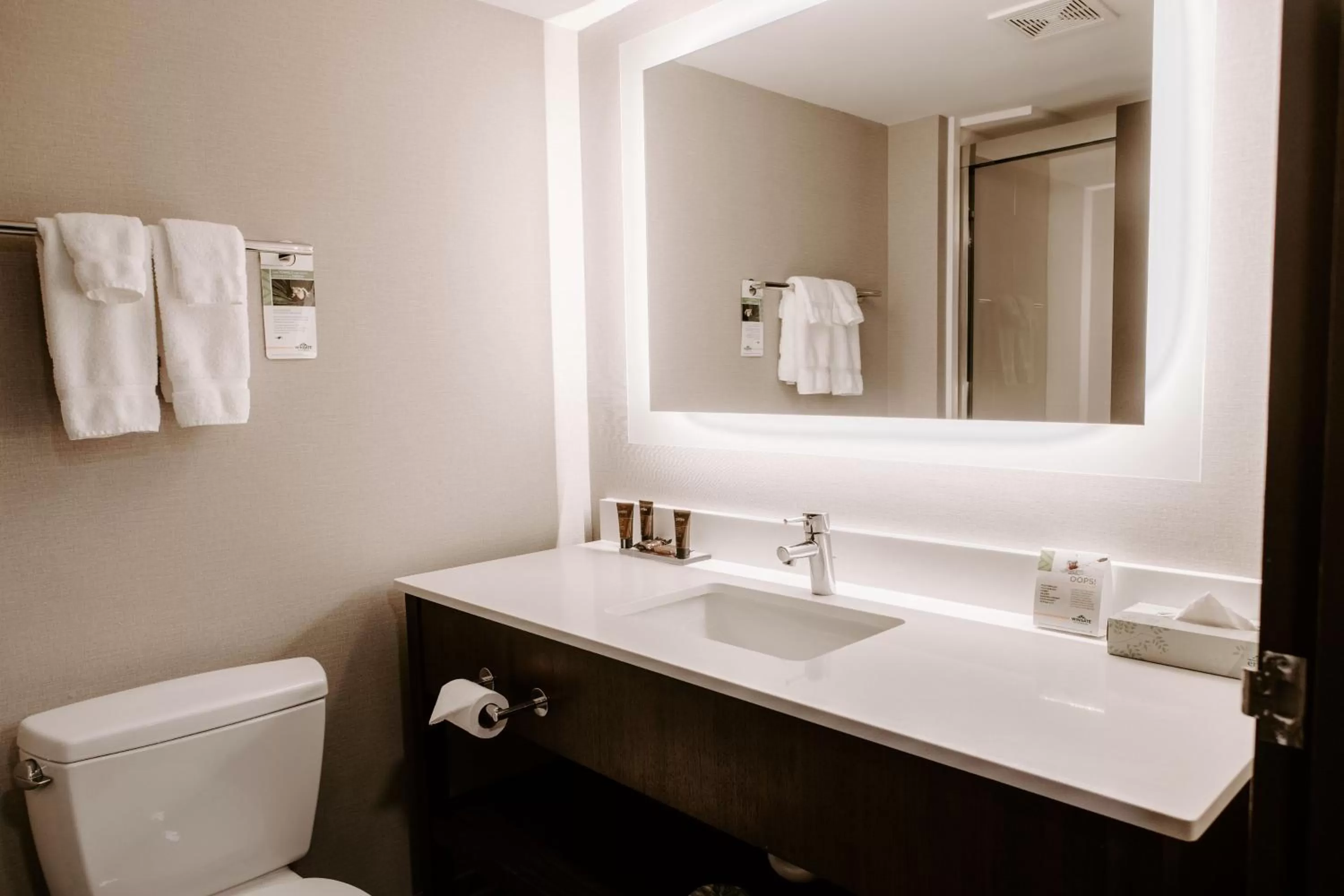 Bathroom in Wingate by Wyndham - Dulles International