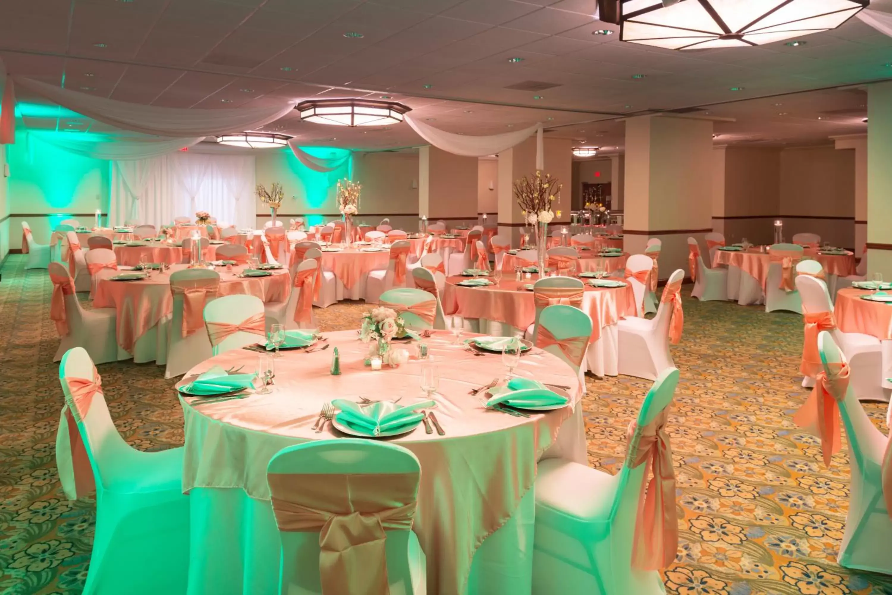 Banquet/Function facilities, Banquet Facilities in Holiday Inn & Suites Orlando SW - Celebration Area, an IHG Hotel