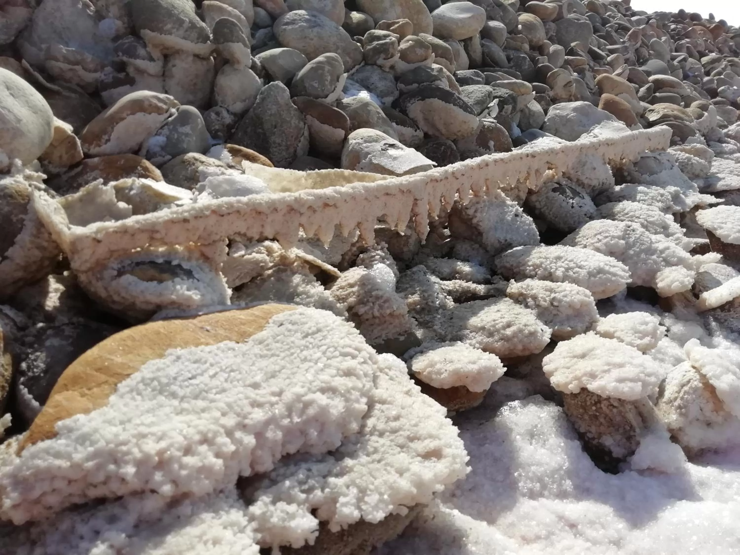 les chambres du Saunier