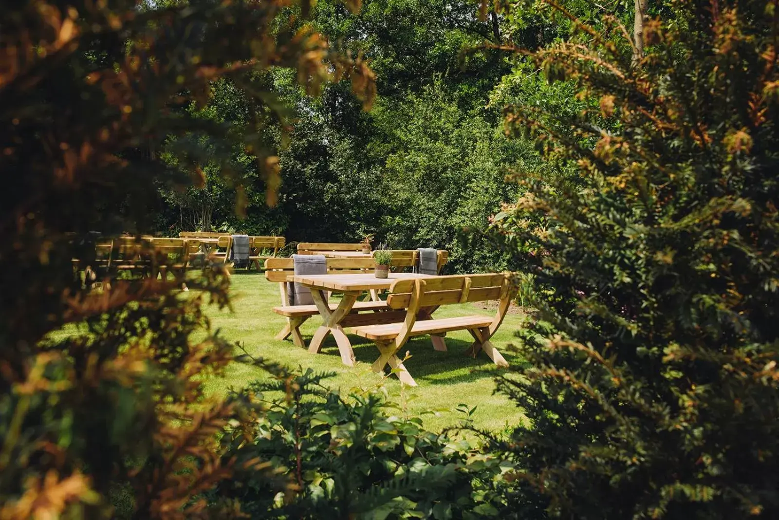 Garden in The Drummond at Albury